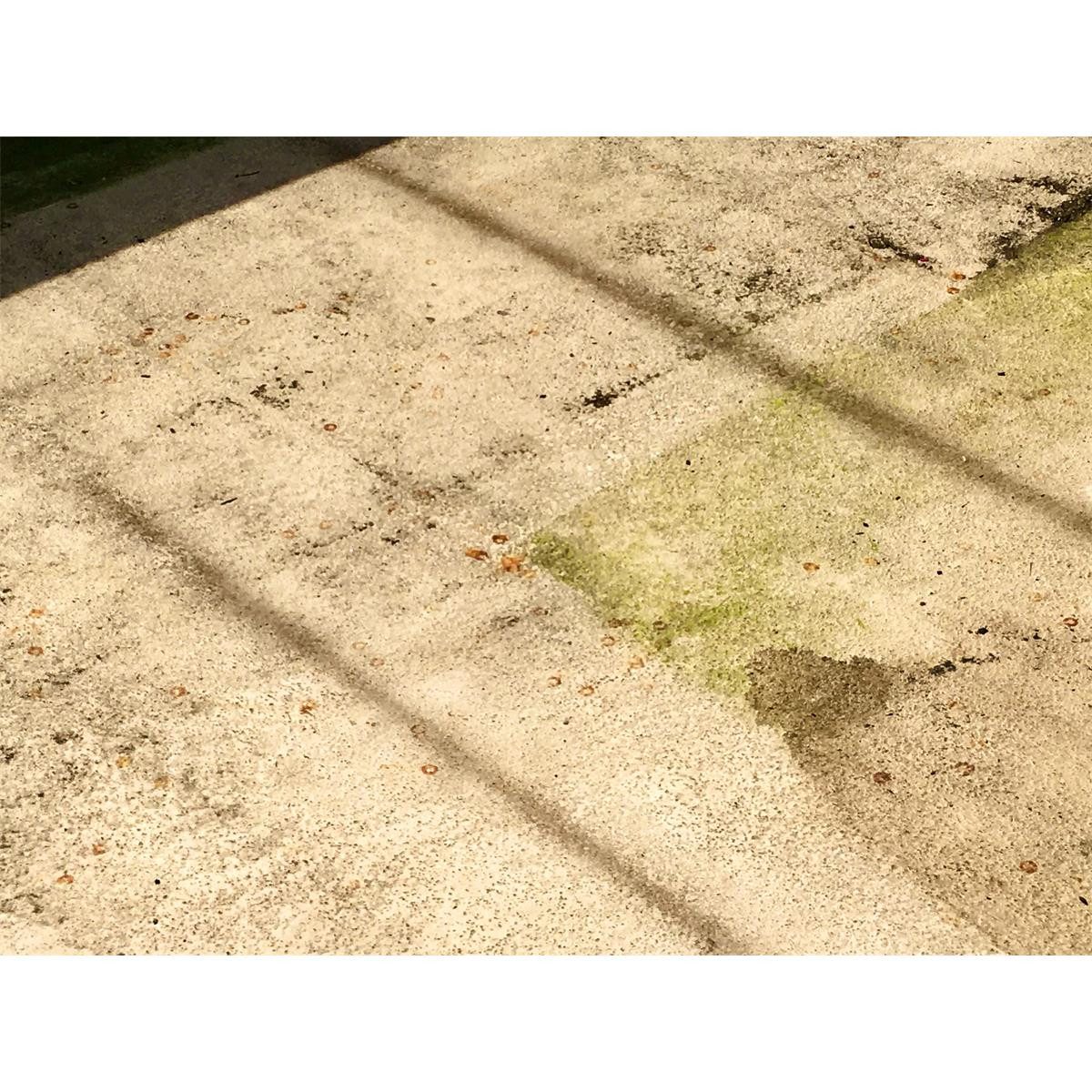 Mellerud Mellerud Algen und Grünbelag Entferner 1,75L Konzentrat (4er Pack) Spezialwaschmittel