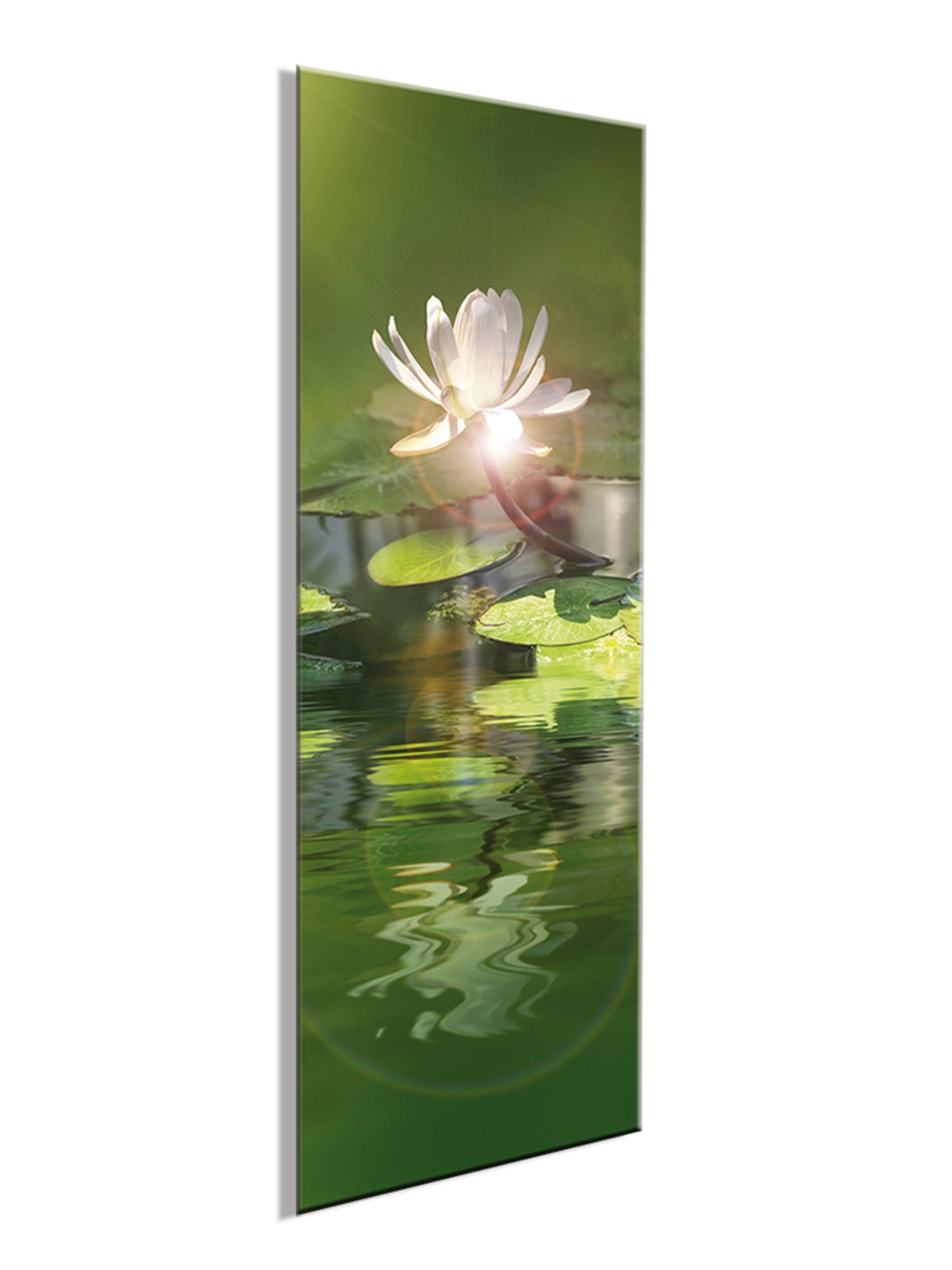 artissimo Glasbild Glasbild 30x80cm Bild grün Natur Pflanzen II aus und Glas Foto: hoch, Blume Seerose