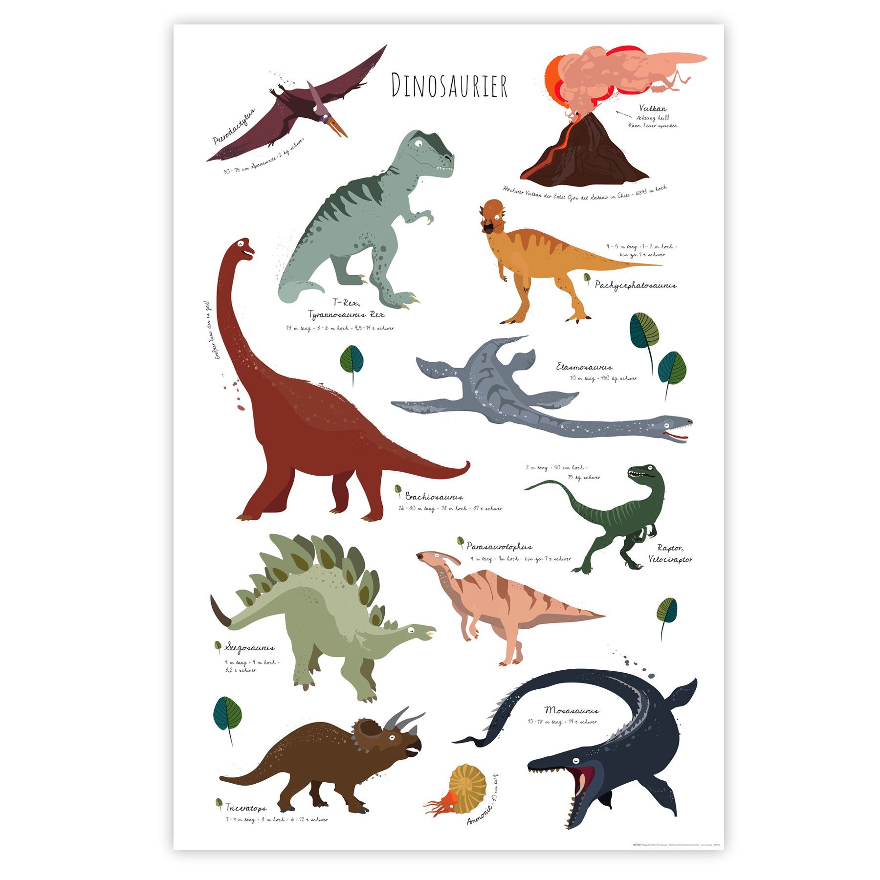 Close Up Poster Dinosaurier Poster Lernposter 61 x 91,5 cm 61 x 91,5 cm