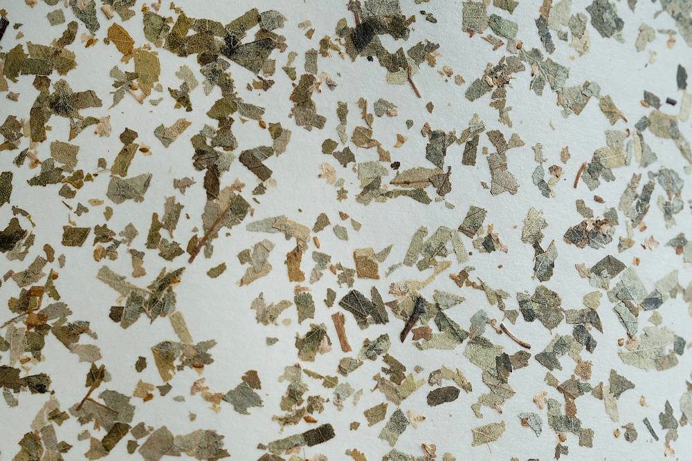 EGLO Stehlampe BUTTERBURN Stehlampe, Stahl und Textil, Wohnzimmerlampe, E27, Lampe, Ein-/Ausschalter, ohne Leuchtmittel, mit Birken-Blättern, Stehleuchte, Lampe Wohnzimmer, E27, 162cm