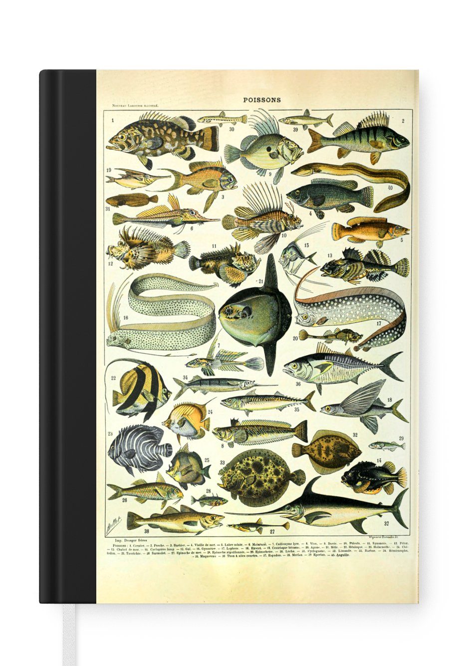 MuchoWow Notizbuch Adolphe Millot - Kunst - Vintage - Fische - Tiere, Journal, Merkzettel, Tagebuch, Notizheft, A5, 98 Seiten, Haushaltsbuch