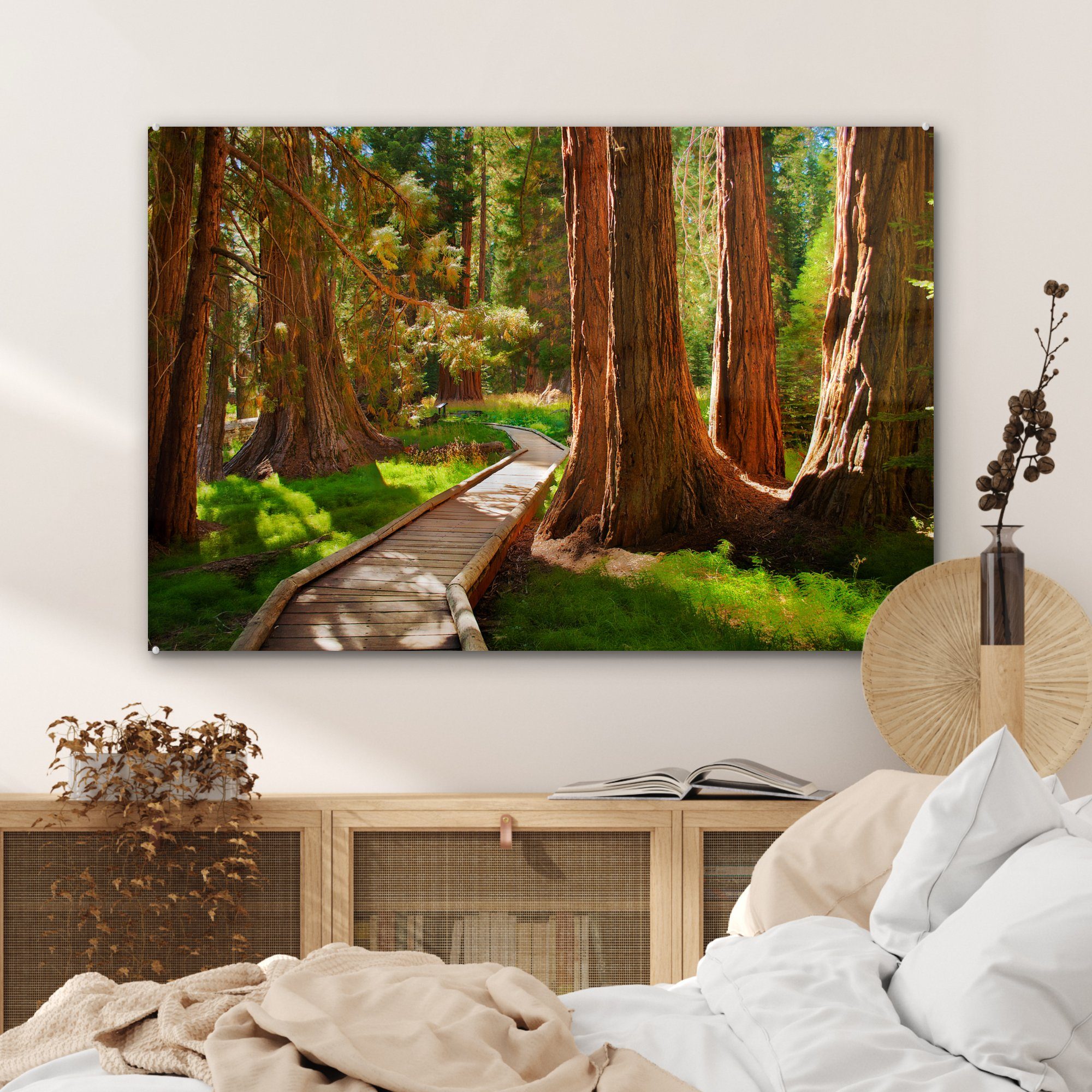 Pfad Acrylglasbild & National Acrylglasbilder den Wohnzimmer in Hölzerner Kalifornien, St), Schlafzimmer MuchoWow Park Sequoia durch (1