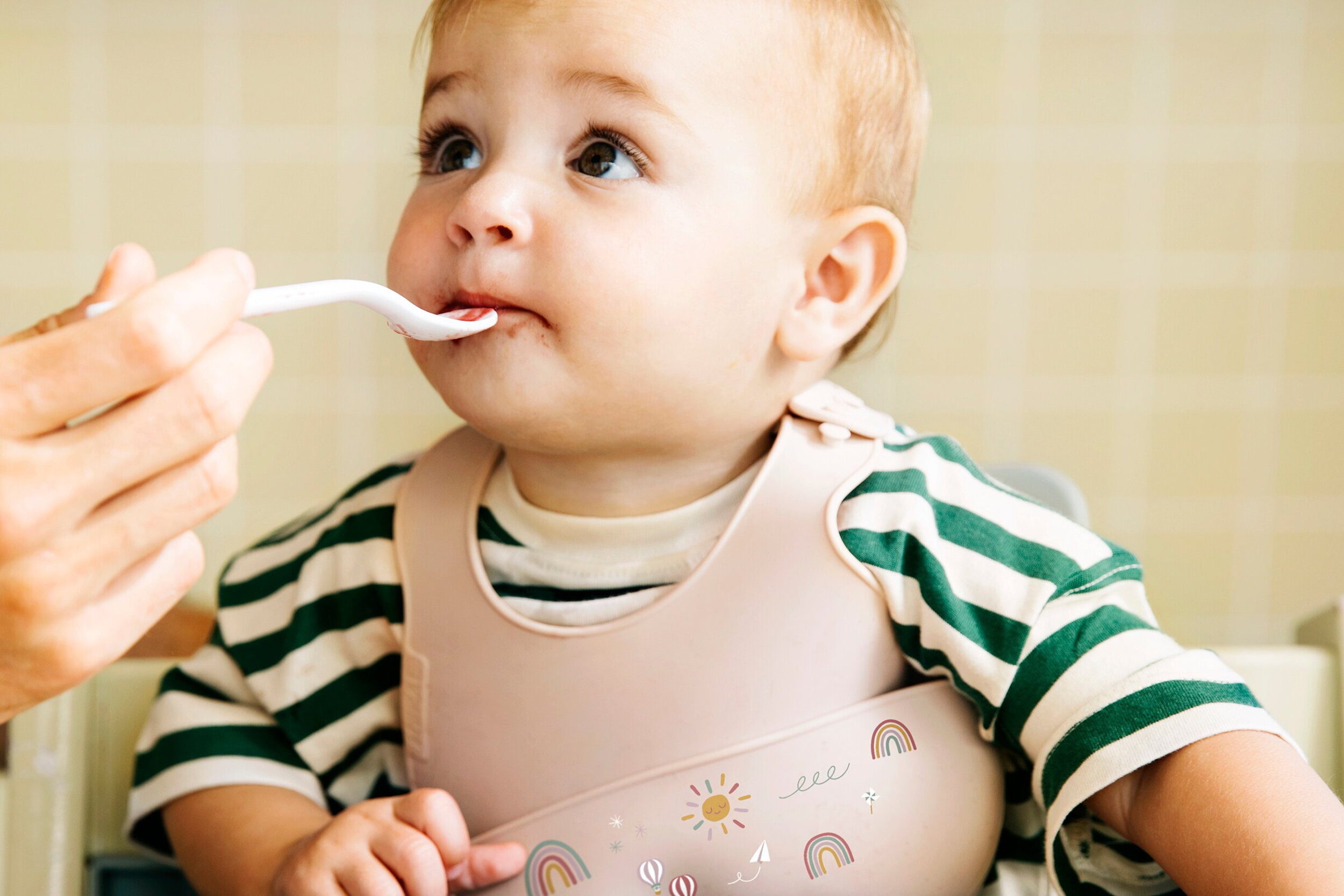 Mepal Babynahrungszubereiter