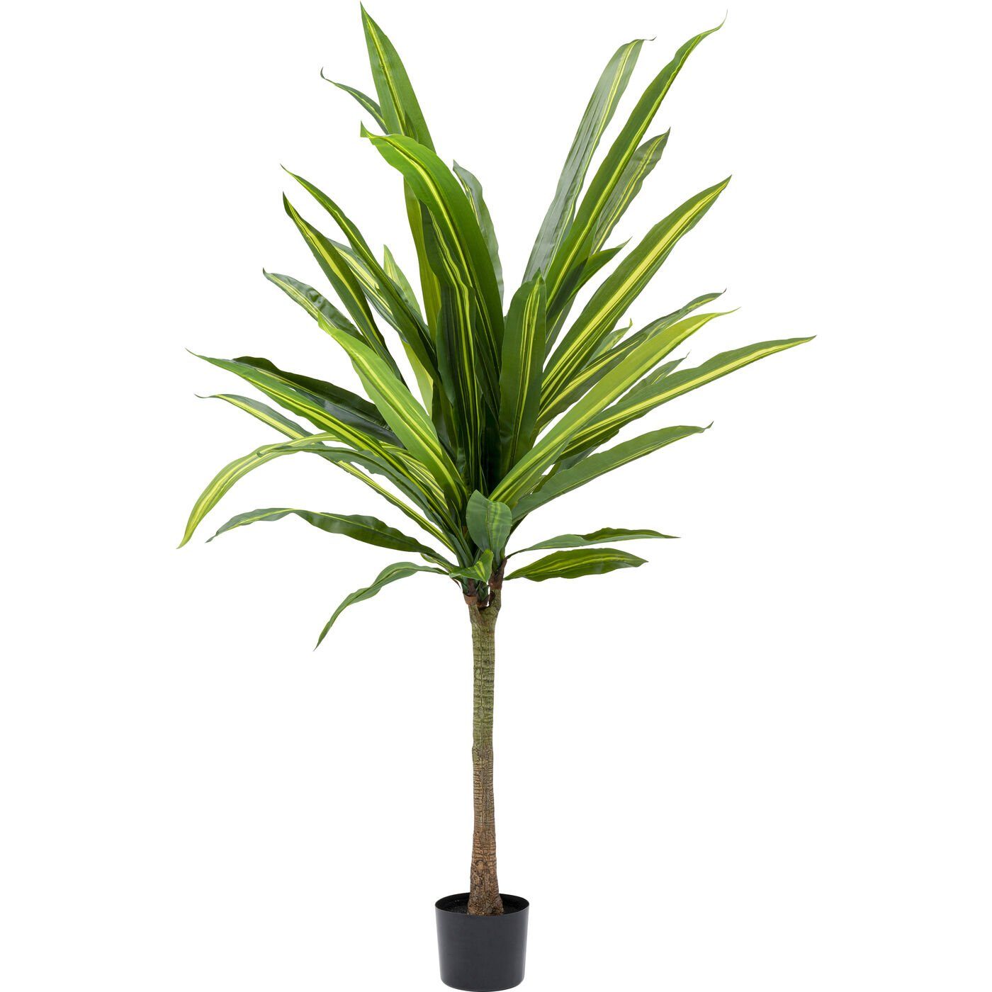 Künstliche Zimmerpflanze »Deko Pflanze Dracaena Fragrans 180«, KARE online  kaufen | OTTO