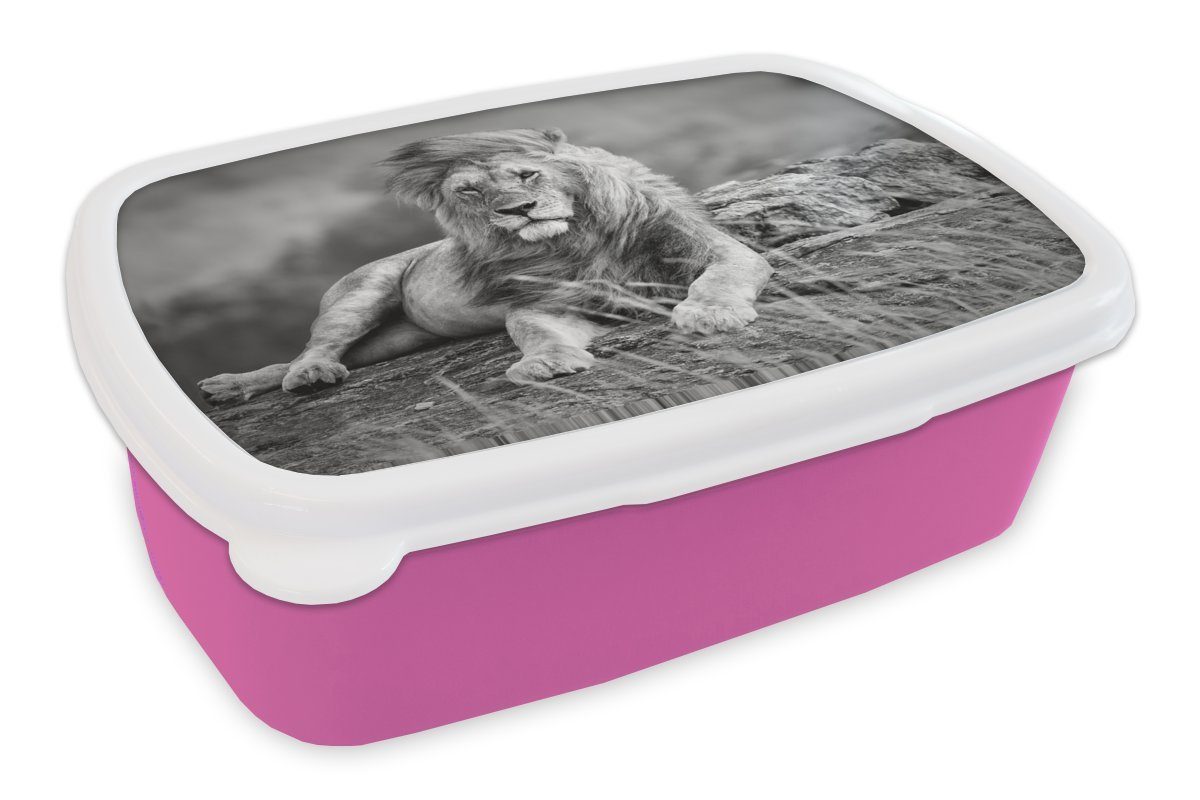 MuchoWow Lunchbox Löwen - Wild - Schwarz - Weiß, Kunststoff, (2-tlg), Brotbox für Erwachsene, Brotdose Kinder, Snackbox, Mädchen, Kunststoff rosa