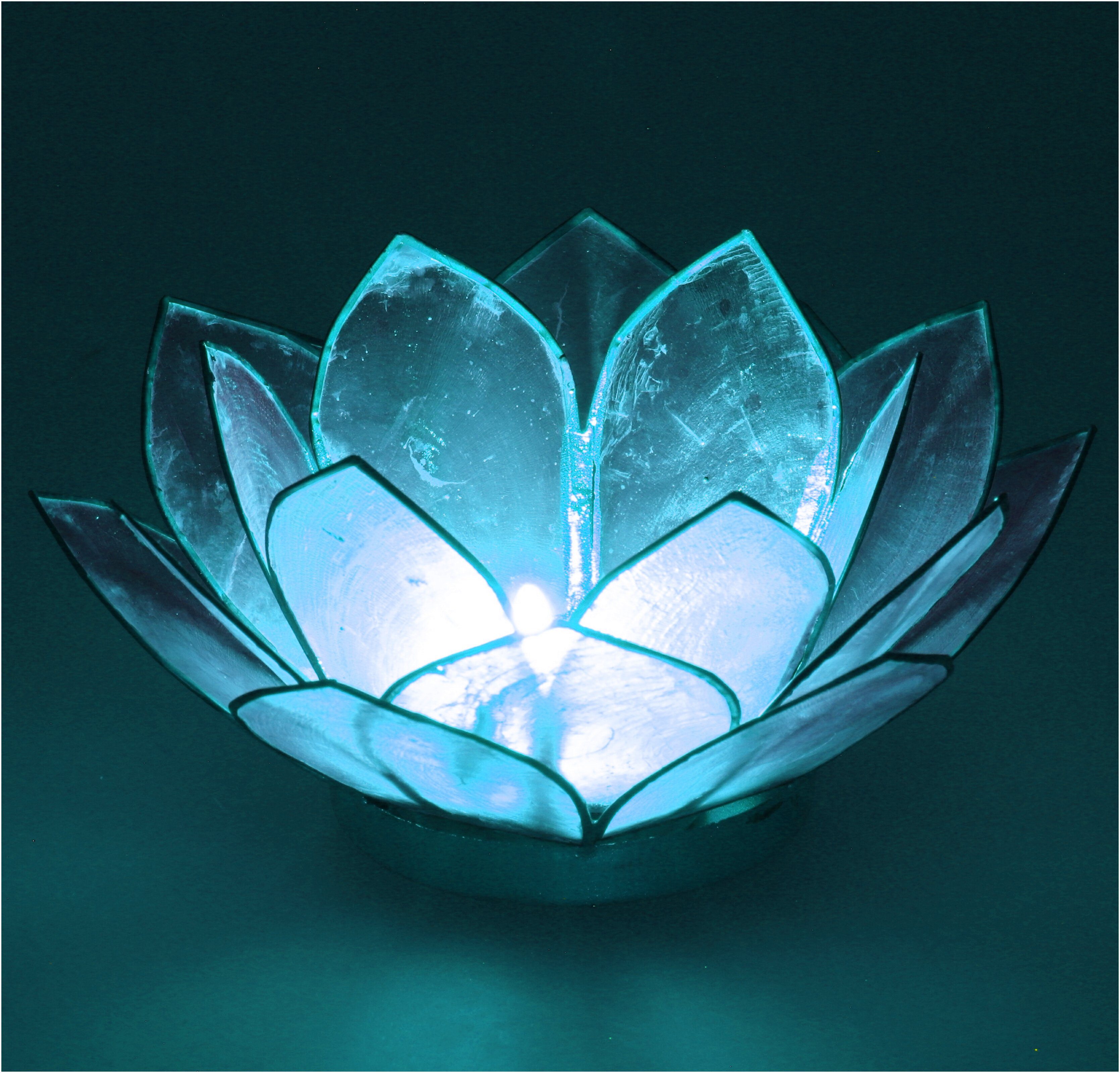 himmelblau 14*6 Windlicht cm - Guru-Shop Muschel Teelicht Lotus