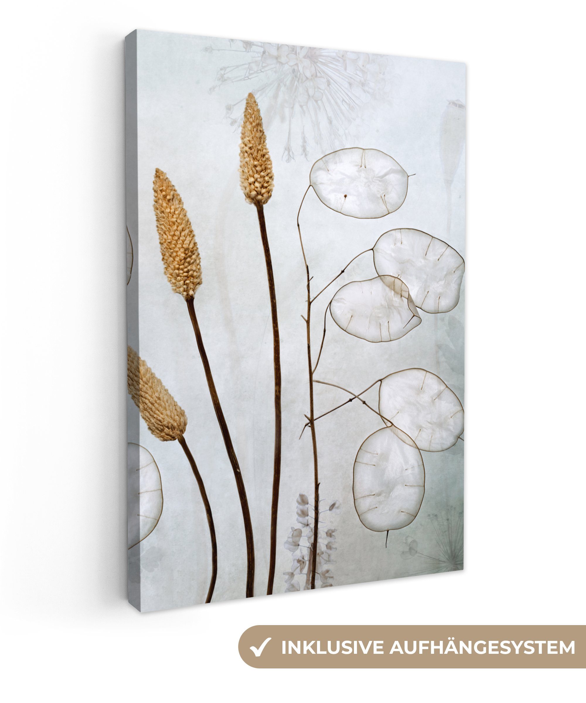 OneMillionCanvasses® Leinwandbild Stilleben - Trockenblumen - günstig online kaufen