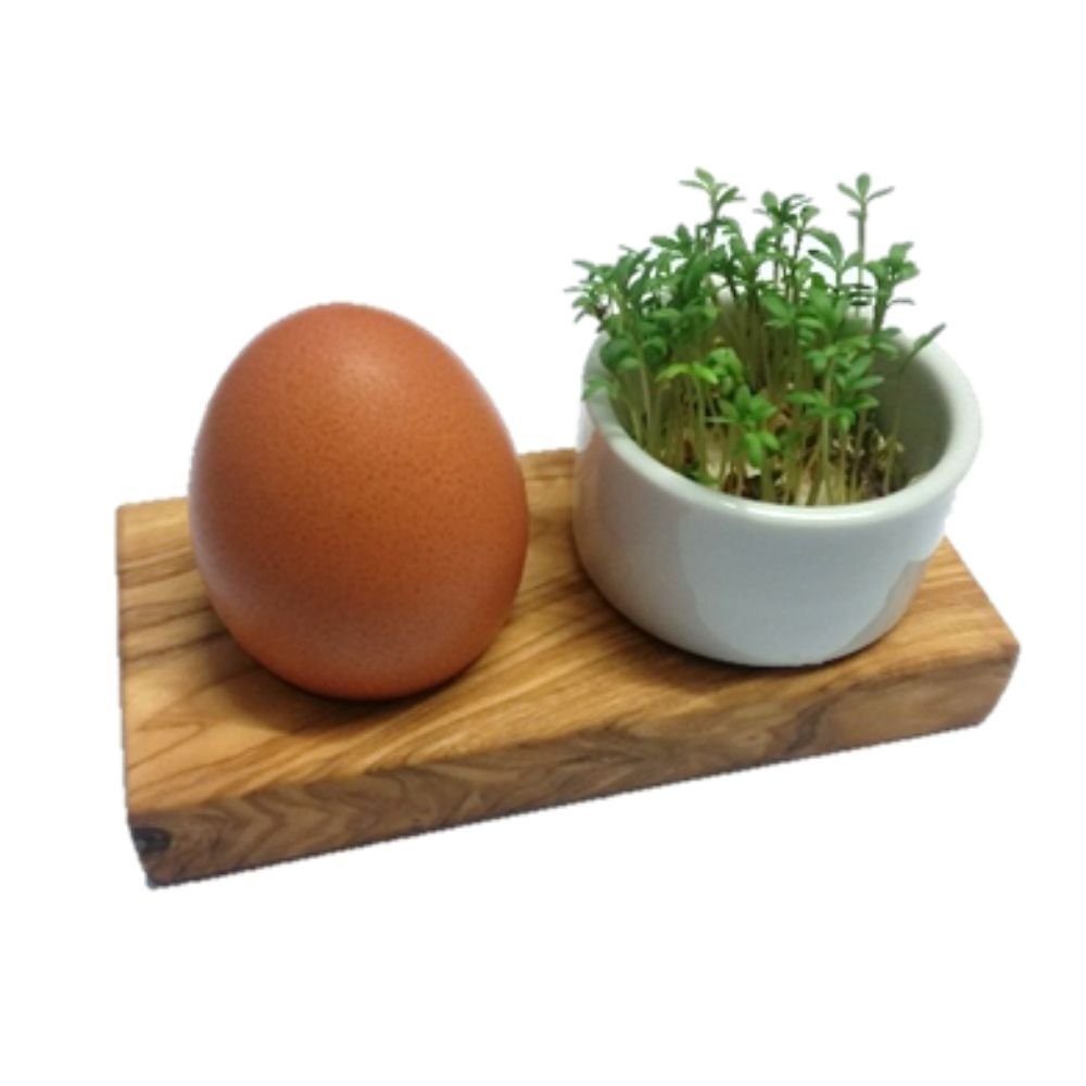 Olivenholz-erleben Eierbecher Eierbecher Troué Plus aus Olivenholz und Porzellan, (1-tlg), Olivenholz und Porzellan