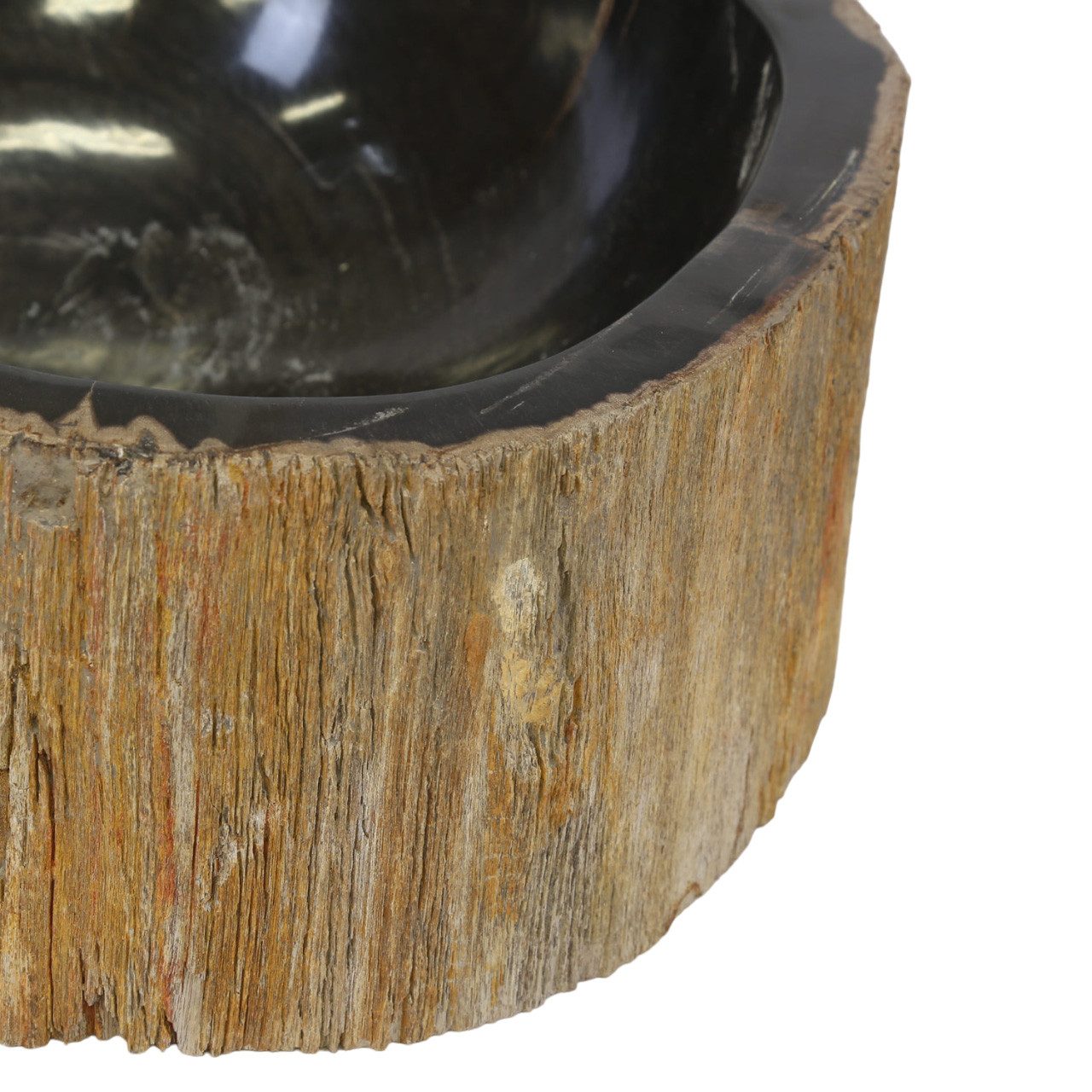 Casa Moro Waschbecken Fossiles Holz Waschbecken Olivia für Badezimmer Gäste-Bad (Badezimmer Gäste WC), Einzigartiges Naturstein Handwaschbecken MW514015