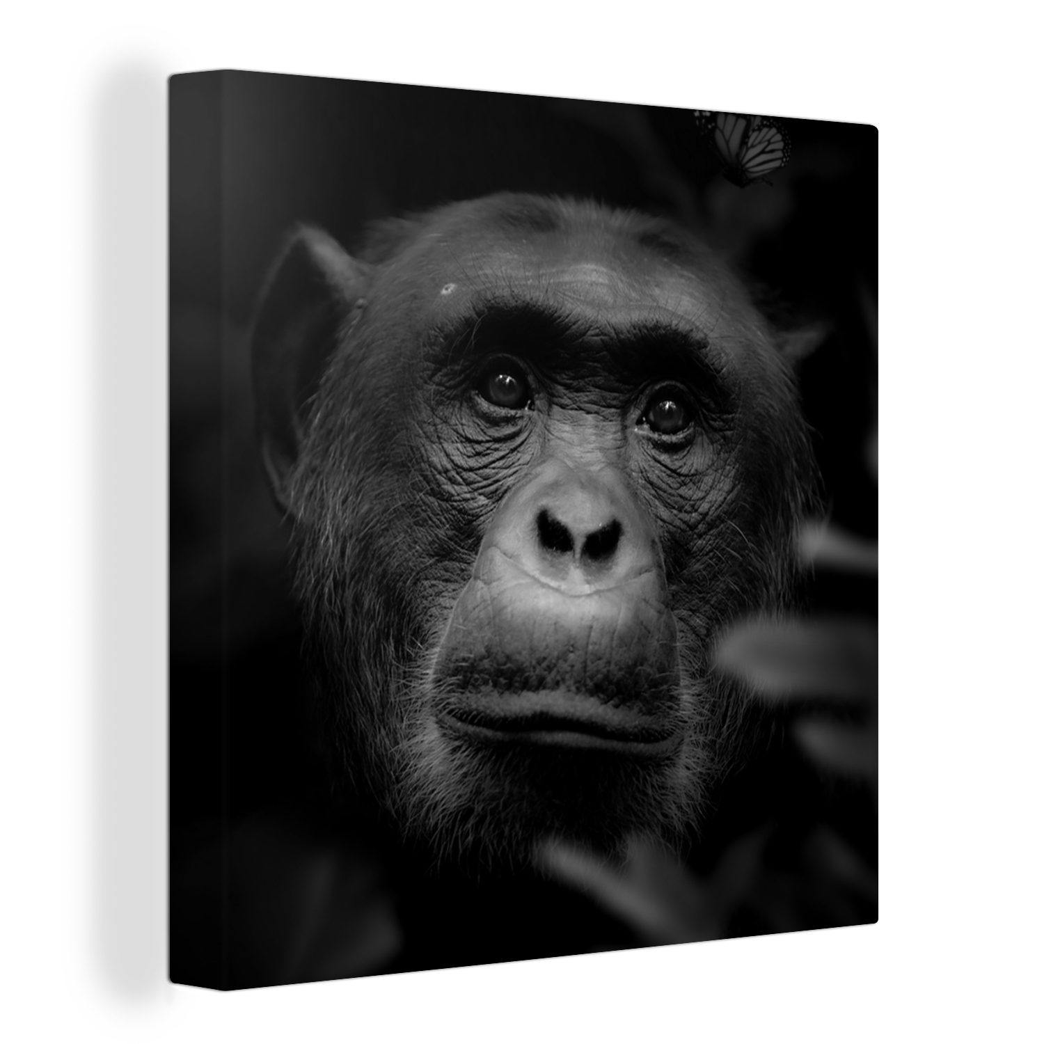 Affe - - Leinwand Leinwandbild Tiere Wohnzimmer (1 St), Schwarz Weiß, für Dschungel Schlafzimmer - Bilder OneMillionCanvasses® -