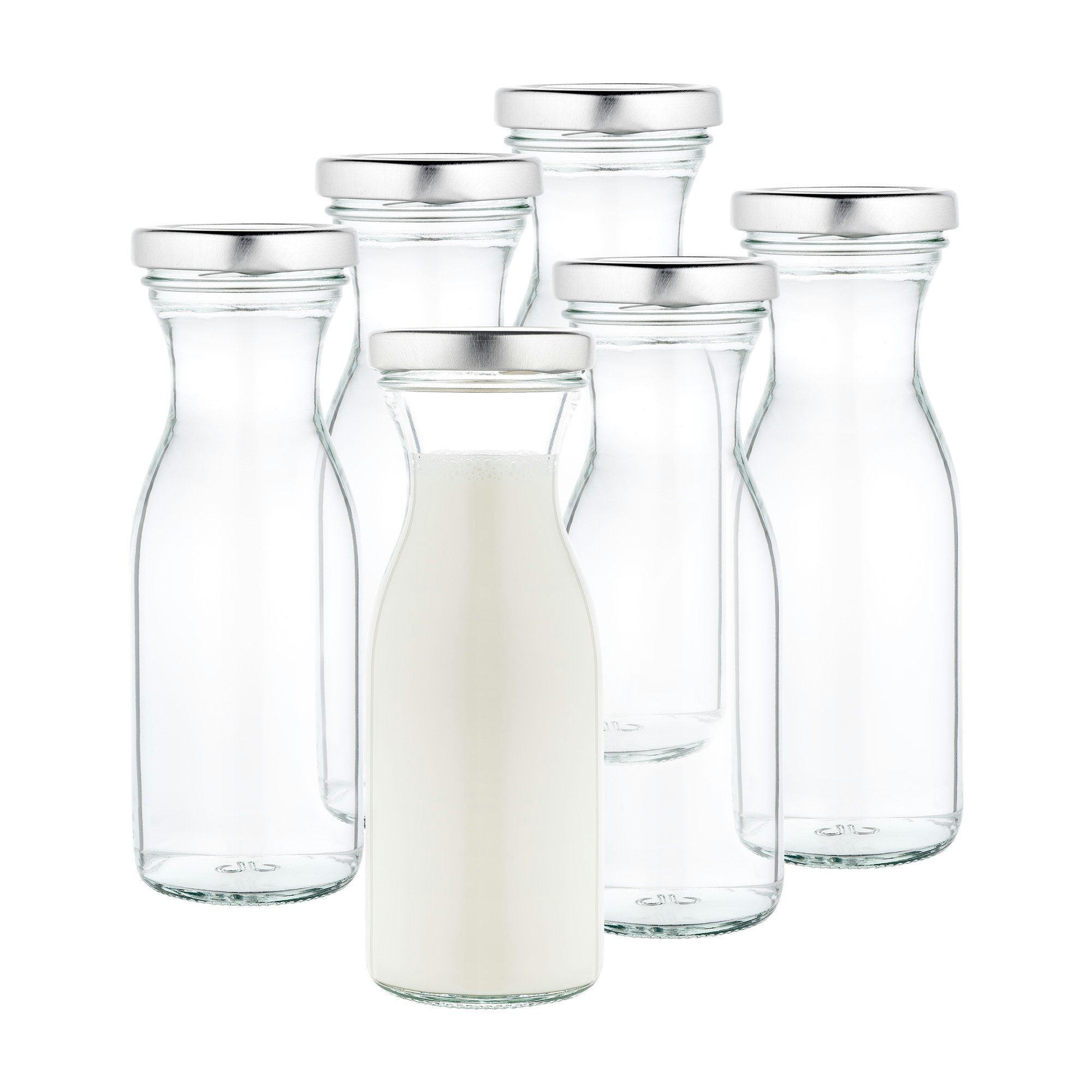 Vorratsglas 6er Set Weithalsflasche Karaffe 250 ml + To 53 Deckel silber