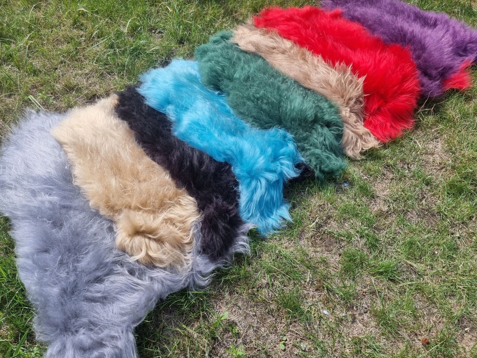 Provellus Fellteppich Premium Island Lammfell Schaffell günstig online kaufen