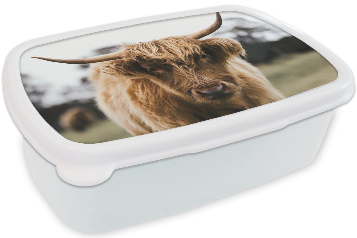 weiß und Brotdose, (2-tlg), Highlander - - Natur, Kunststoff, Jungs Kuh MuchoWow Erwachsene, Brotbox Kinder Schottischer Tiere Gras für Lunchbox für - und Mädchen -