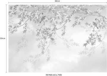 Komar Fototapete Sakura, 368x254 cm (Breite x Höhe), inklusive Kleister