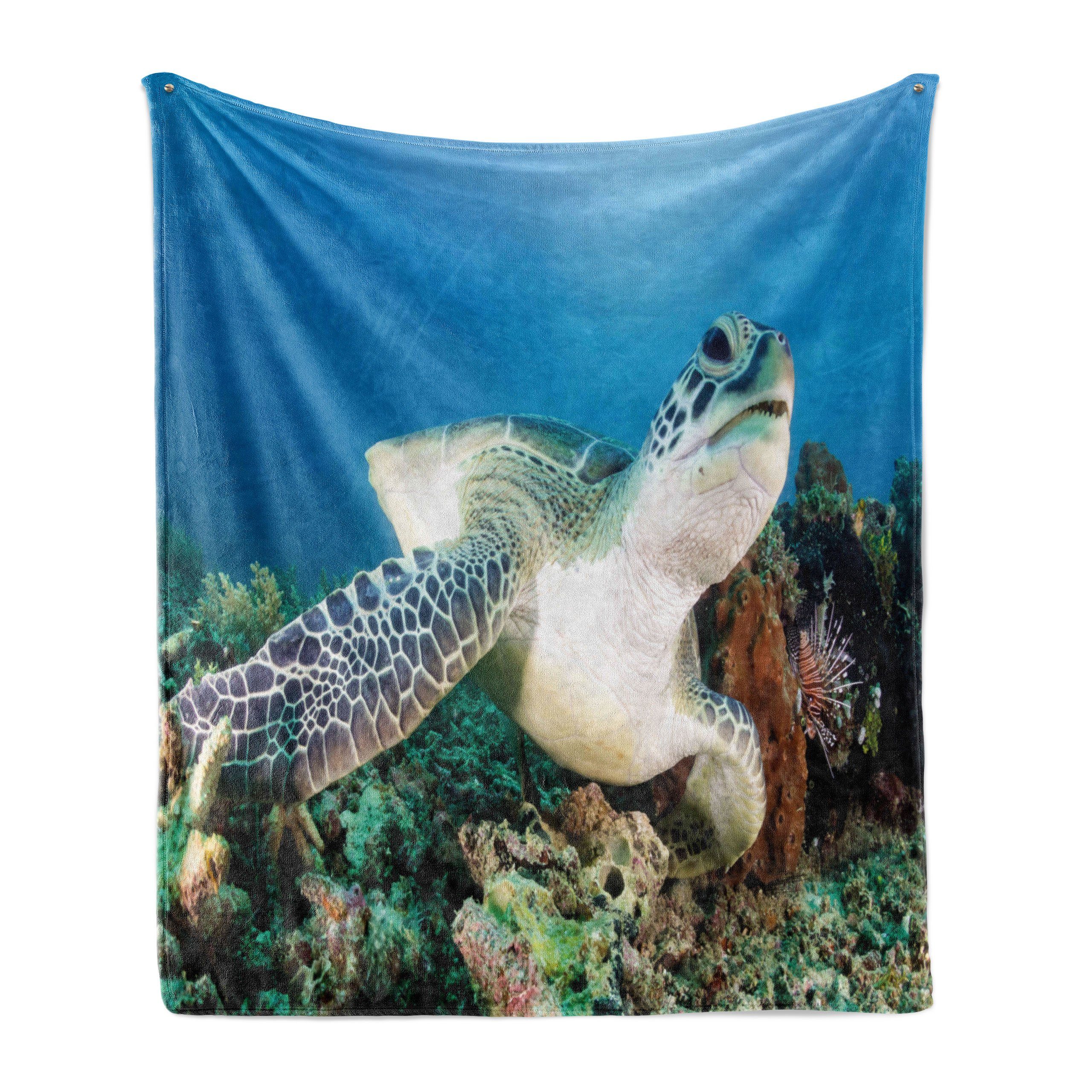 Unterwasser- den Außenbereich, für Wohndecke Gemütlicher Plüsch Green Turtle und Abakuhaus, Coral Innen-