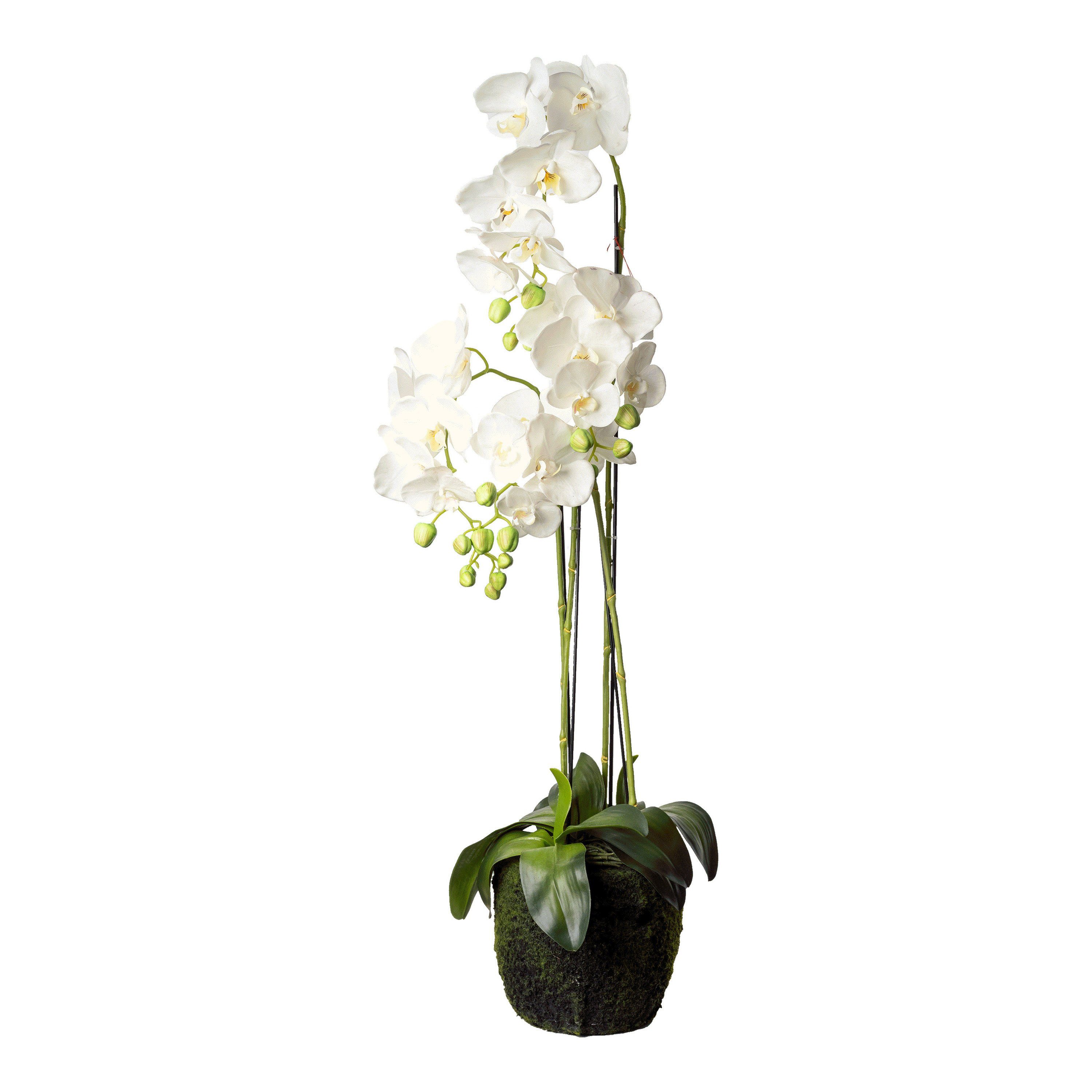 Kunstpflanze Kunstblume in Erde Orchidee Phalaenopsis, Depot, Höhe 100 cm