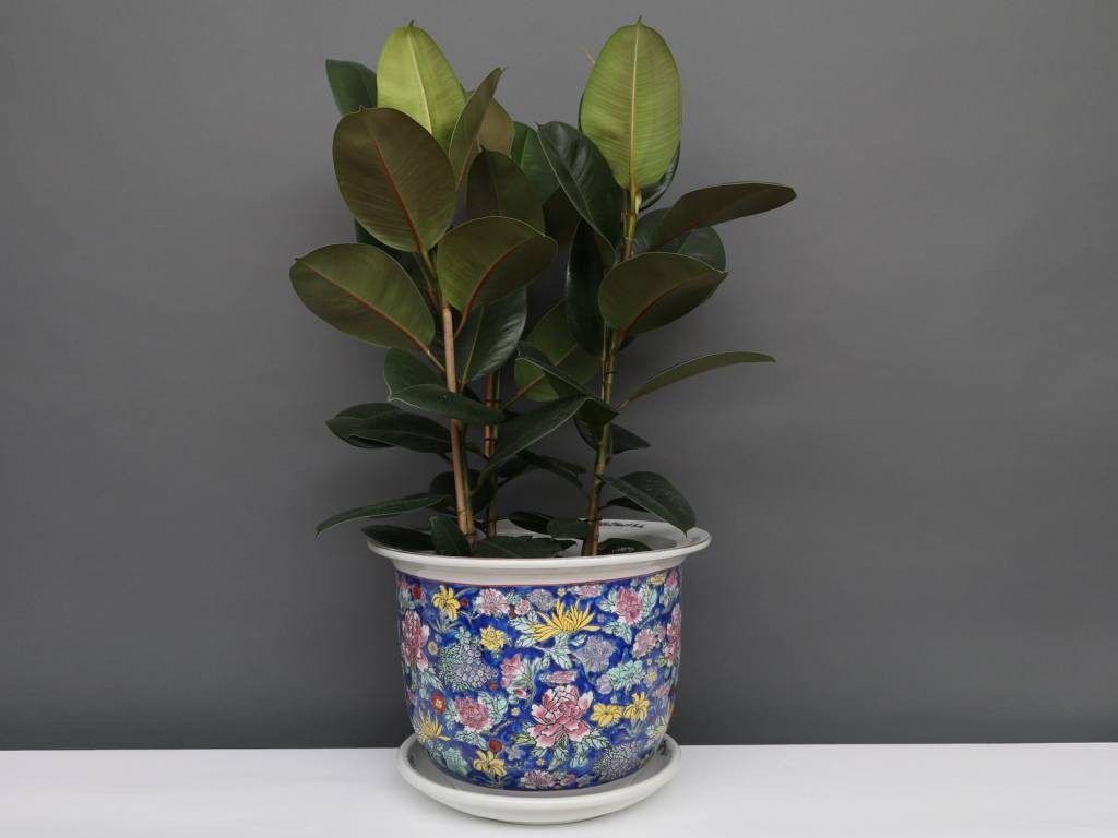 Yajutang Blumentopf