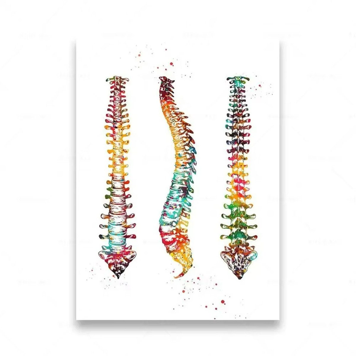 TPFLiving Kunstdruck (OHNE RAHMEN) Poster - Leinwand - Wandbild, Menschliche Anatomie, Wirbelsäule, Herz, Gehirn, Zähne, HD-Leinwand (Leinwandbild XXL), Farben: Orange, Rot, Blau, Schwarz, Weiß, Rosa -Größe: 30x40cm