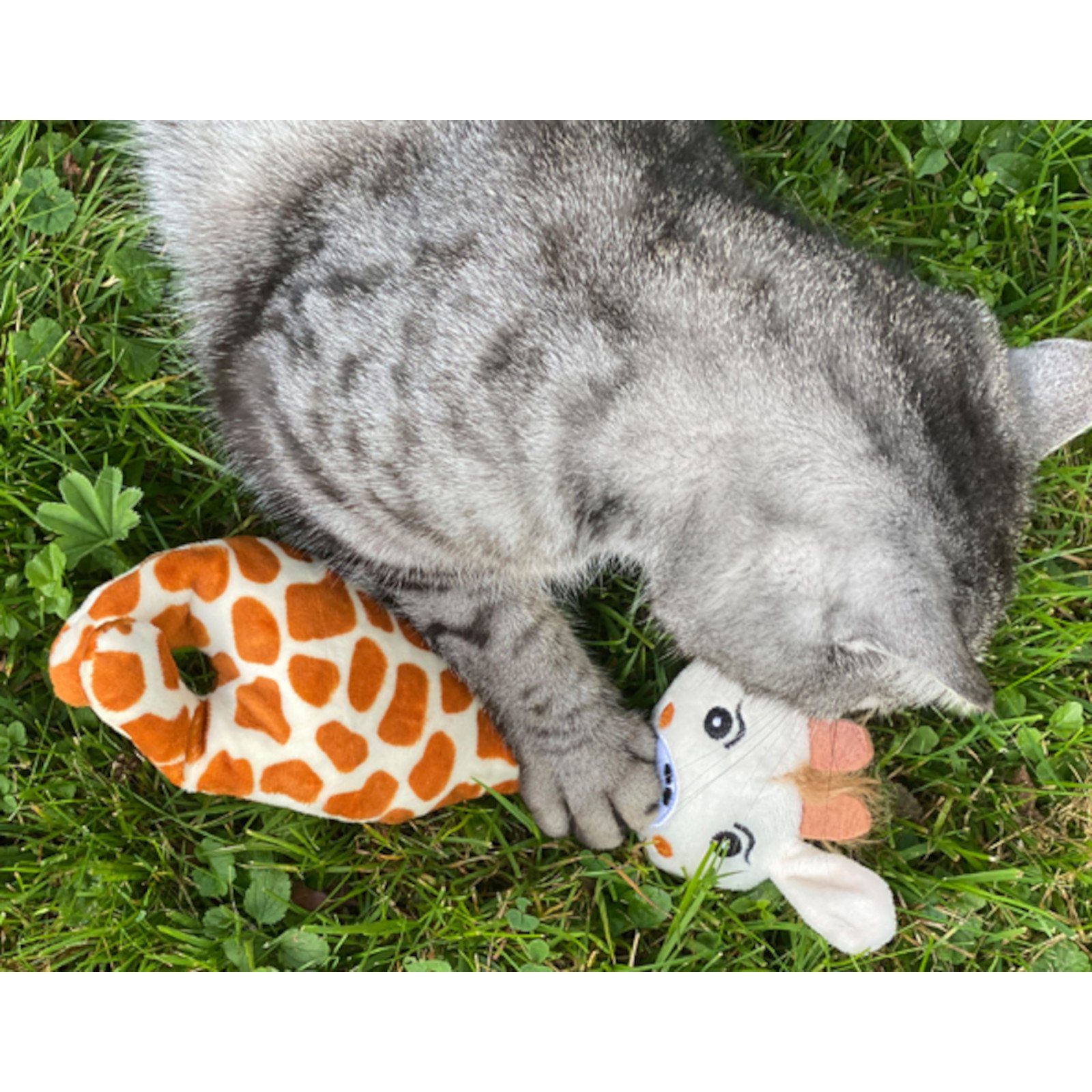Aumüller Tierkuscheltier Katzenspielkissen Giraffe Gina, 3er Set, Spielzeug für Katzen mit B..., 100% Polyester (Plüsch)