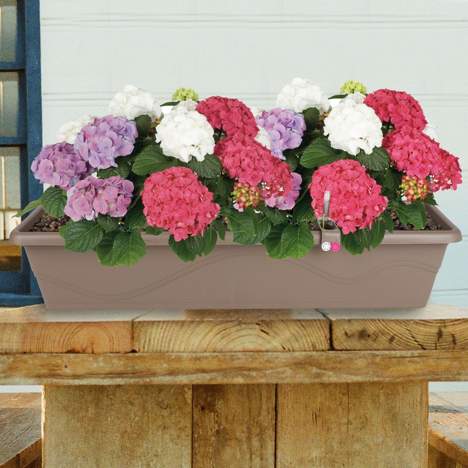 Plastkon Pflanzkübel Blumenkasten taupe mit 79cm Pflanzkasten Bewässerung Balkonkasten Blum