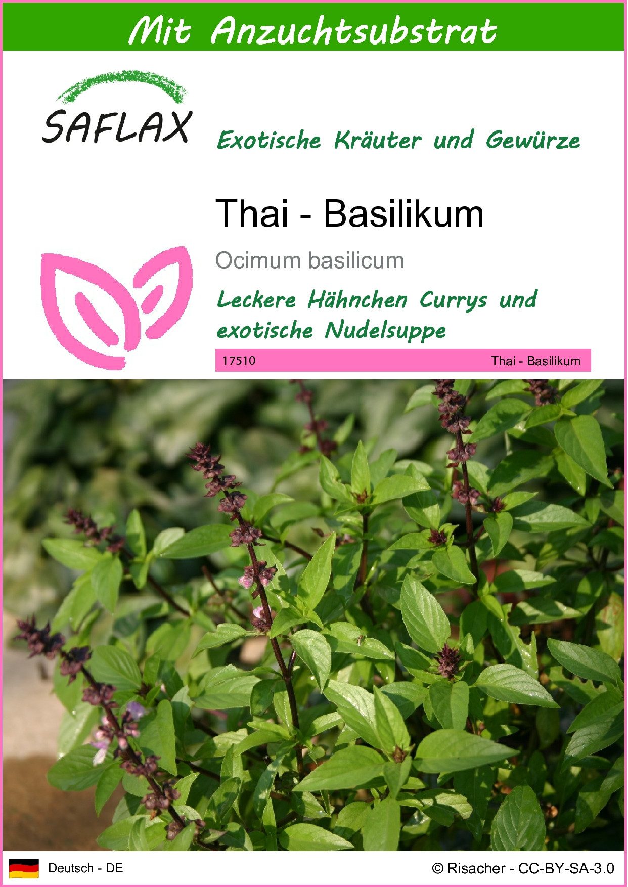 SAFLAX Kräutersamen SAFLAX - Samen und Substrat - Thai - Basilikum