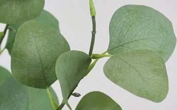 Kunstpflanze Kunstbaum Eukalyptus im Topf Pflanze Deko Strauch Busch, I.GE.A., Höhe 125 cm, Kunstblume Künstlich Grünpflanzen Silber Dollar Blätter