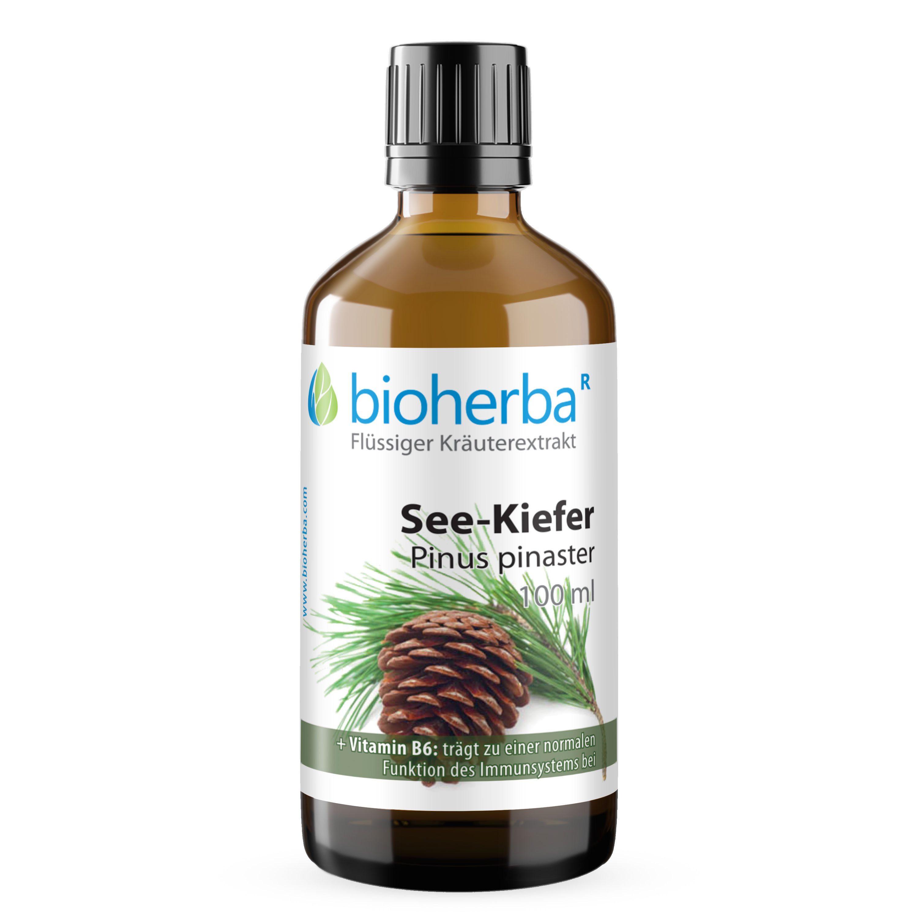 BIOHERBA R Bioherba See-Kiefer Pinus pinaster Tropfen Tinktur 100 ml Glasflasche, 1 er