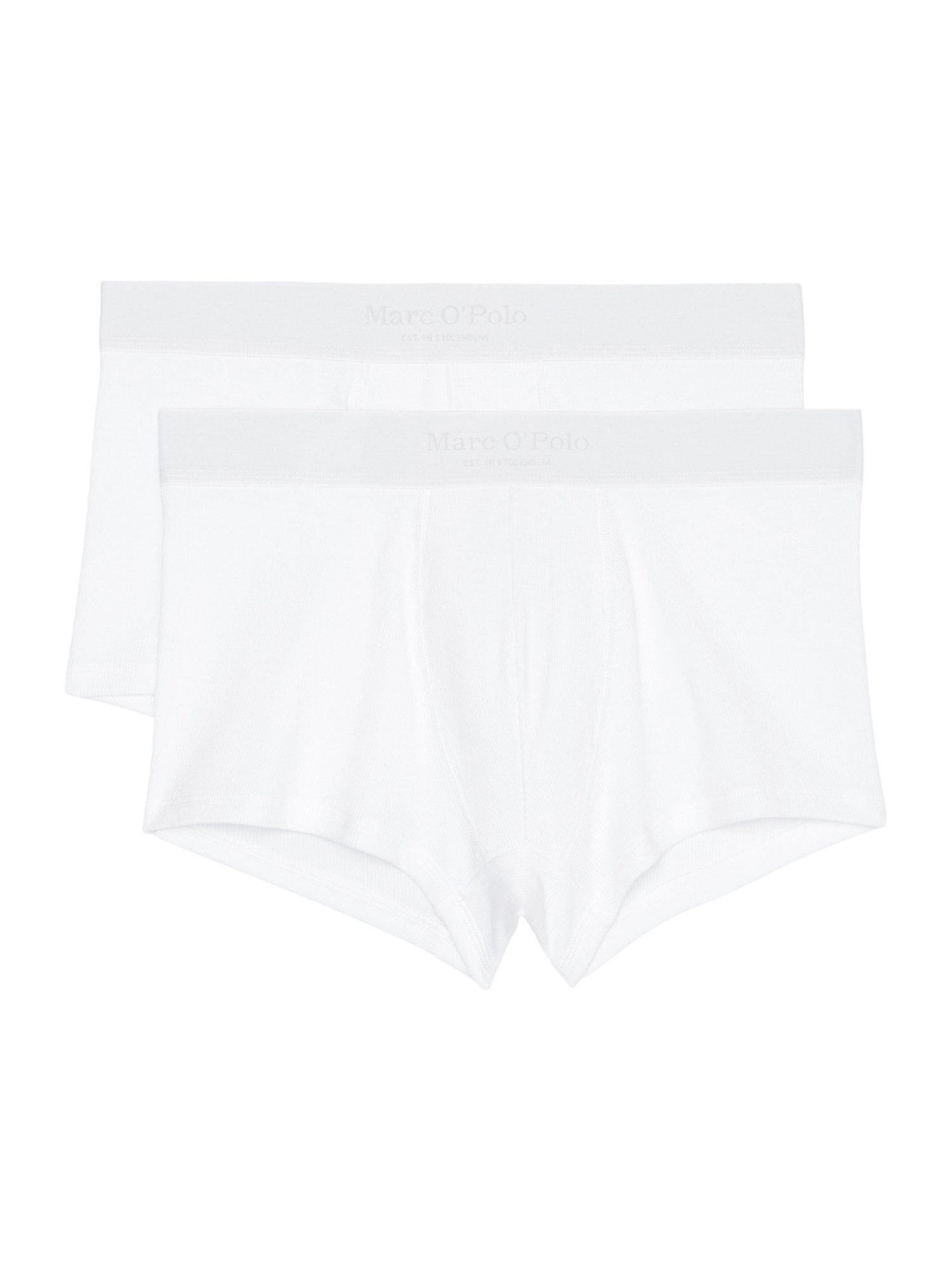 Trunk Iconic Rib