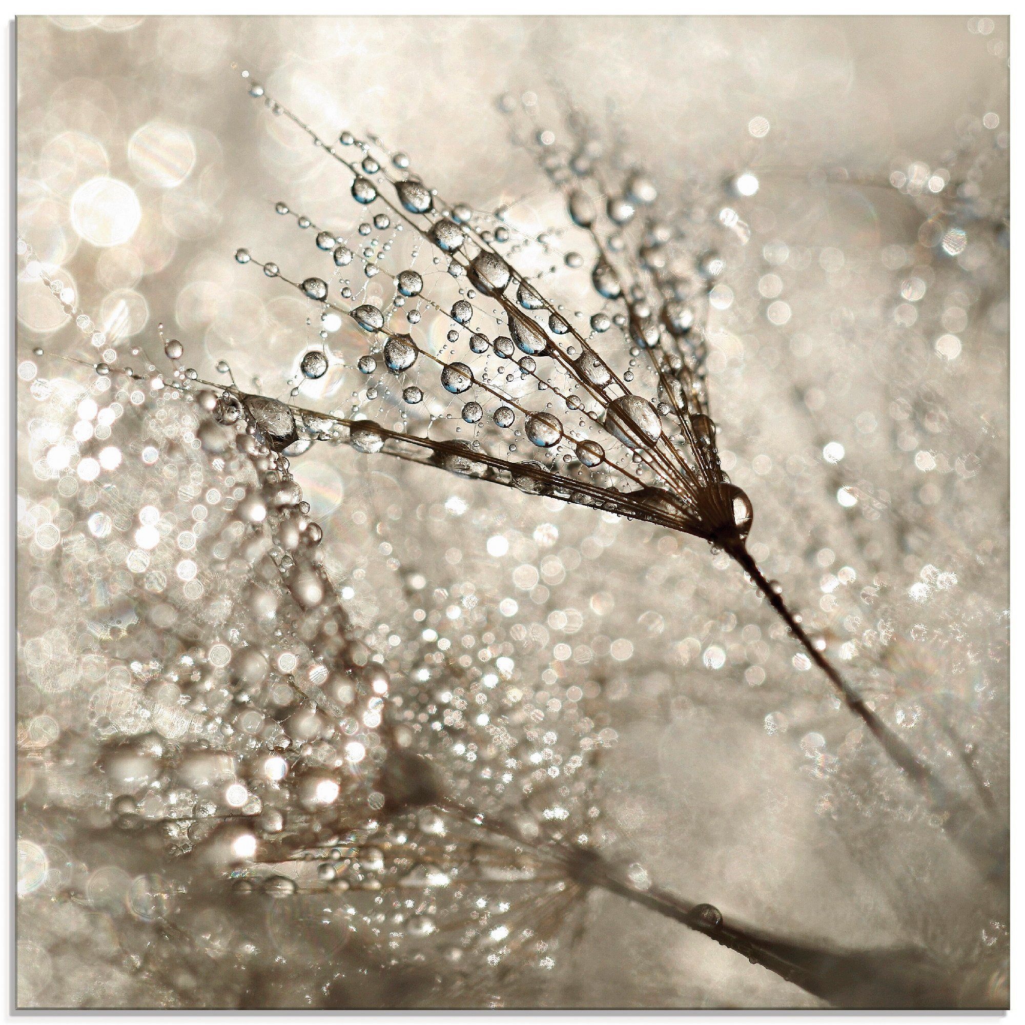 Artland Glasbild Pusteblume Tautropfen I, Blumen (1 St), in verschiedenen Größen