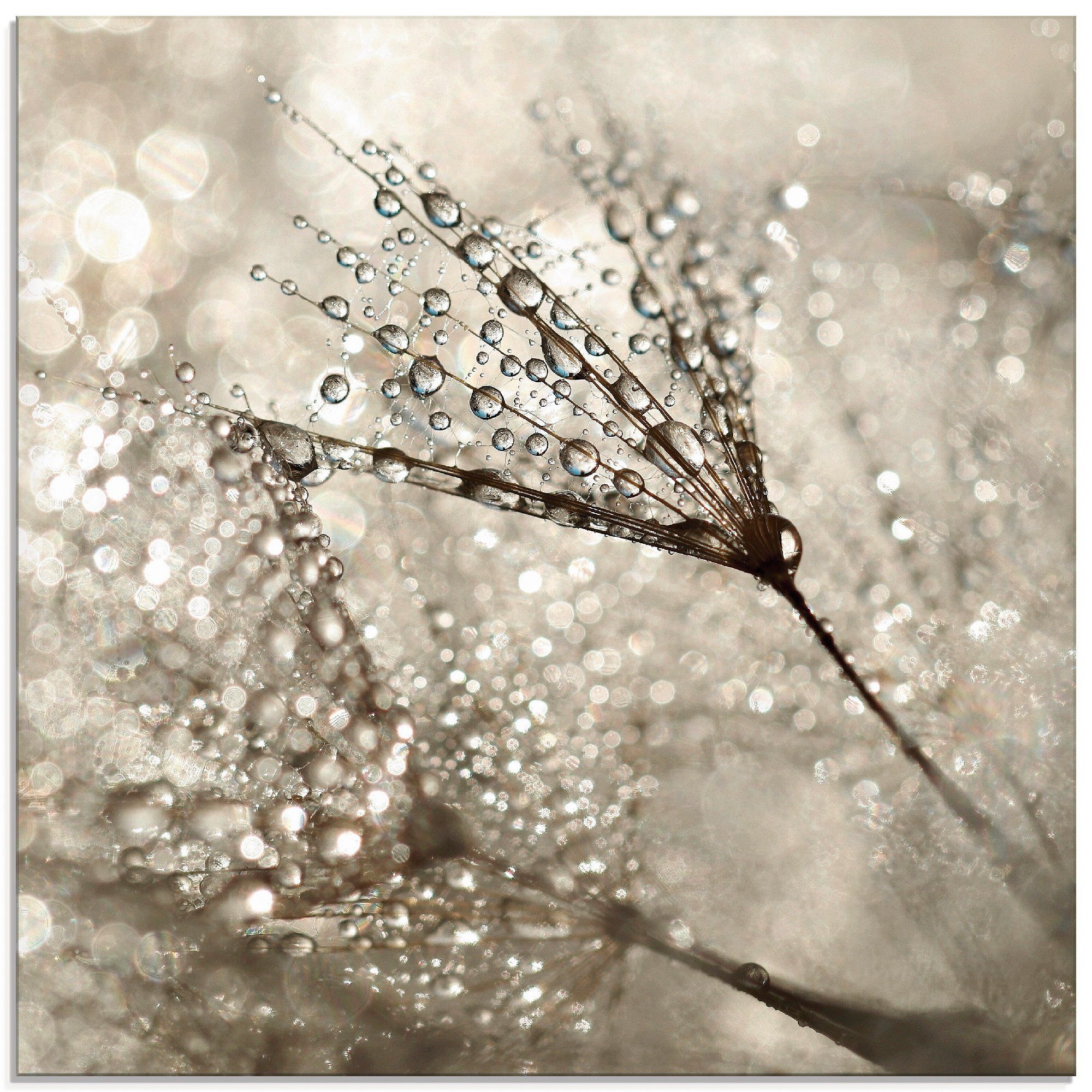 (1 St), Größen Artland verschiedenen Blumen Tautropfen, Glasbild in Pusteblume