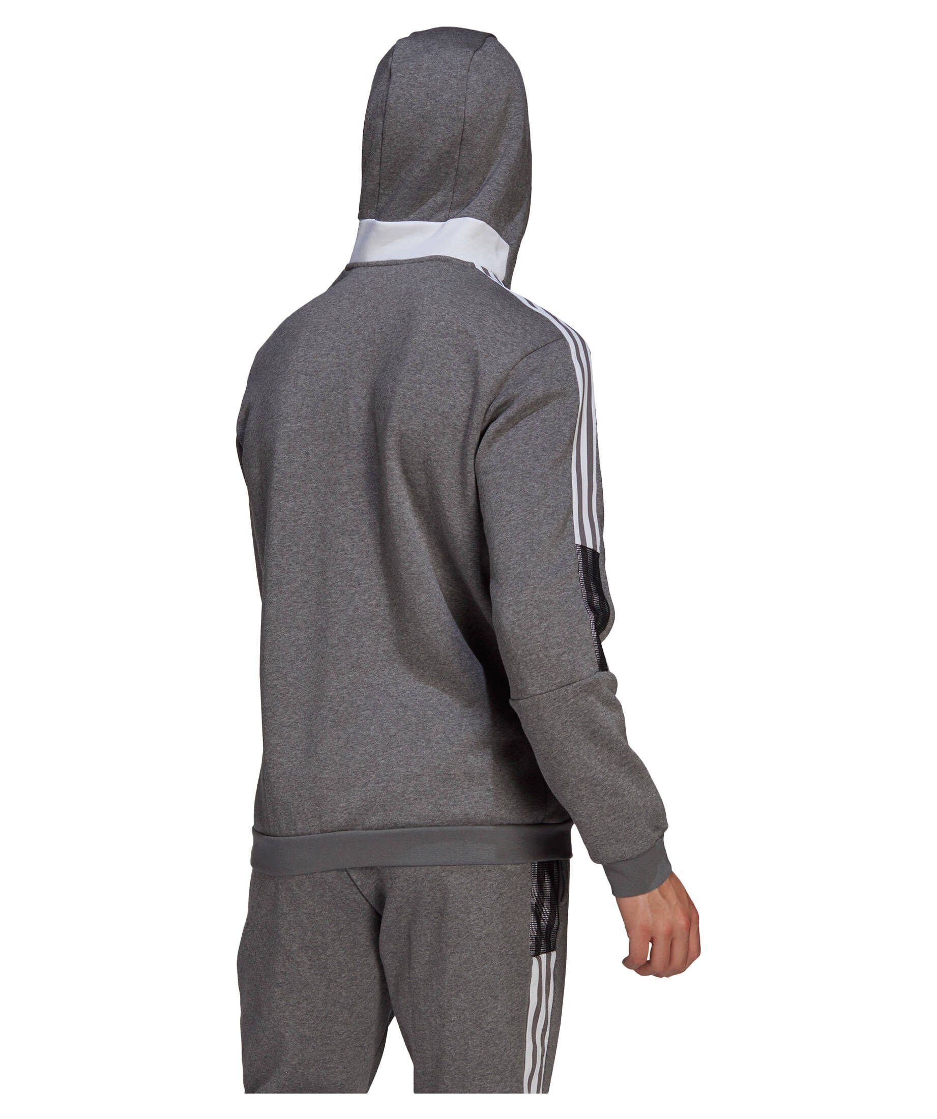 Performance (1-tlg) adidas Sweatshirt grau