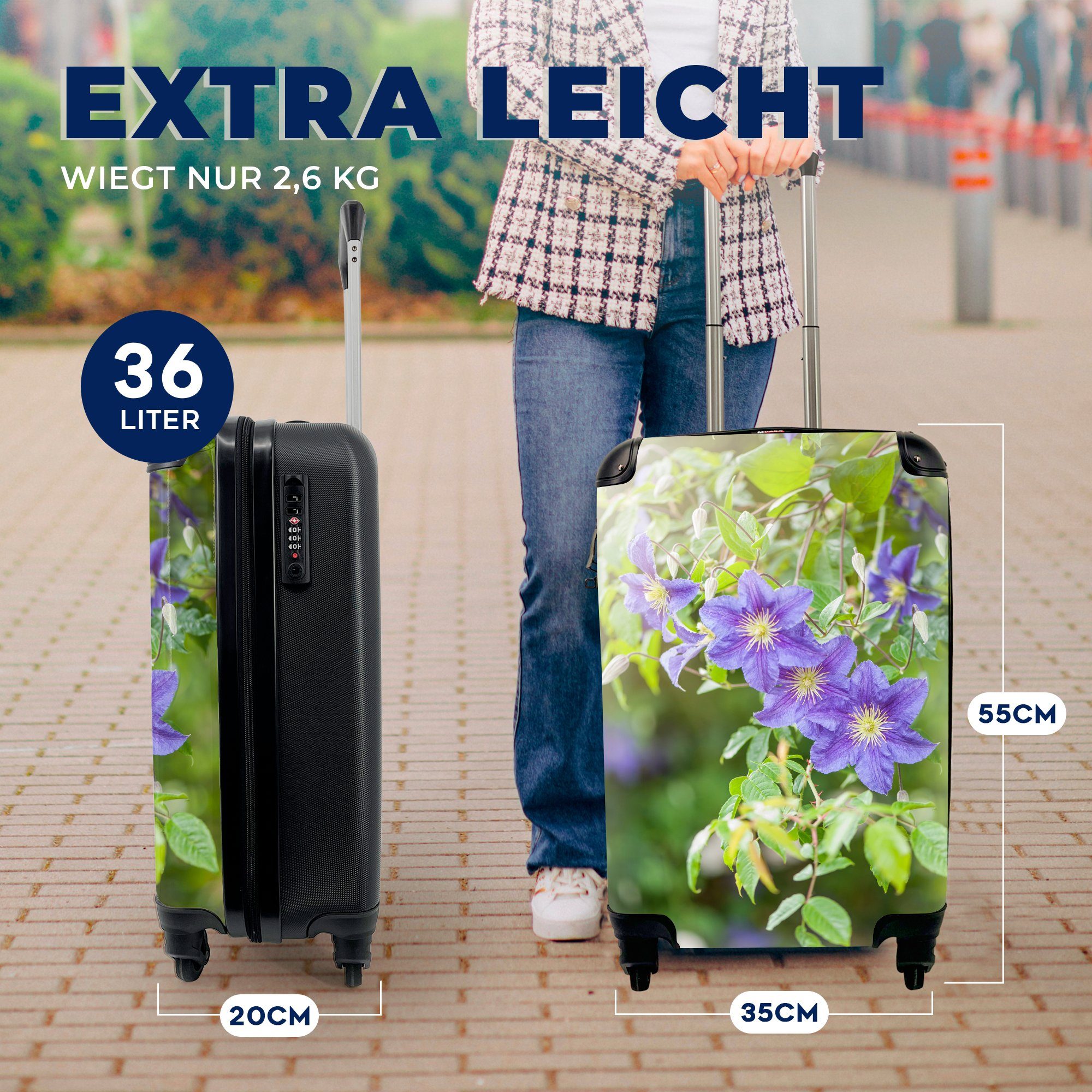 Lila Kletterpflanze, für Handgepäckkoffer Trolley, einer mit Handgepäck Rollen, Reisetasche MuchoWow Reisekoffer Blüten 4 Ferien, rollen, an