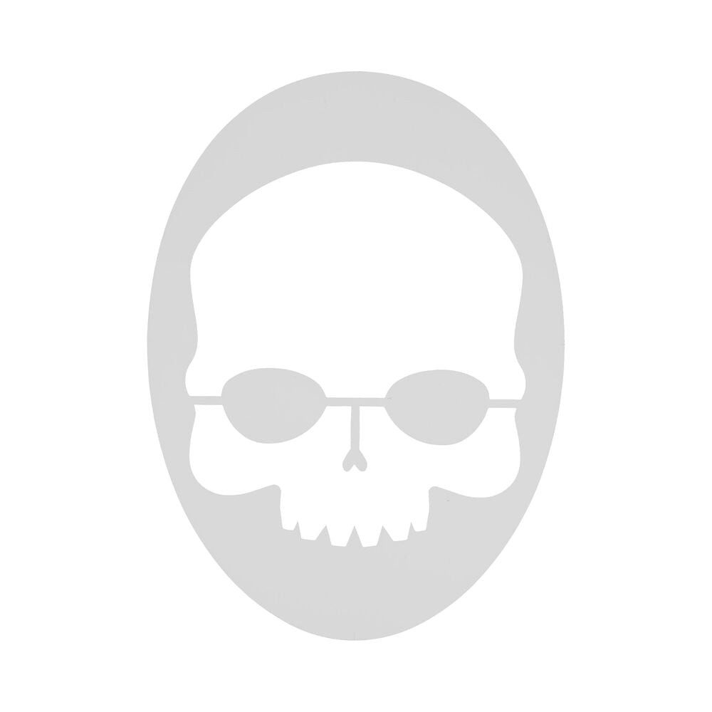 Prince Logoschablone Skull Stencil