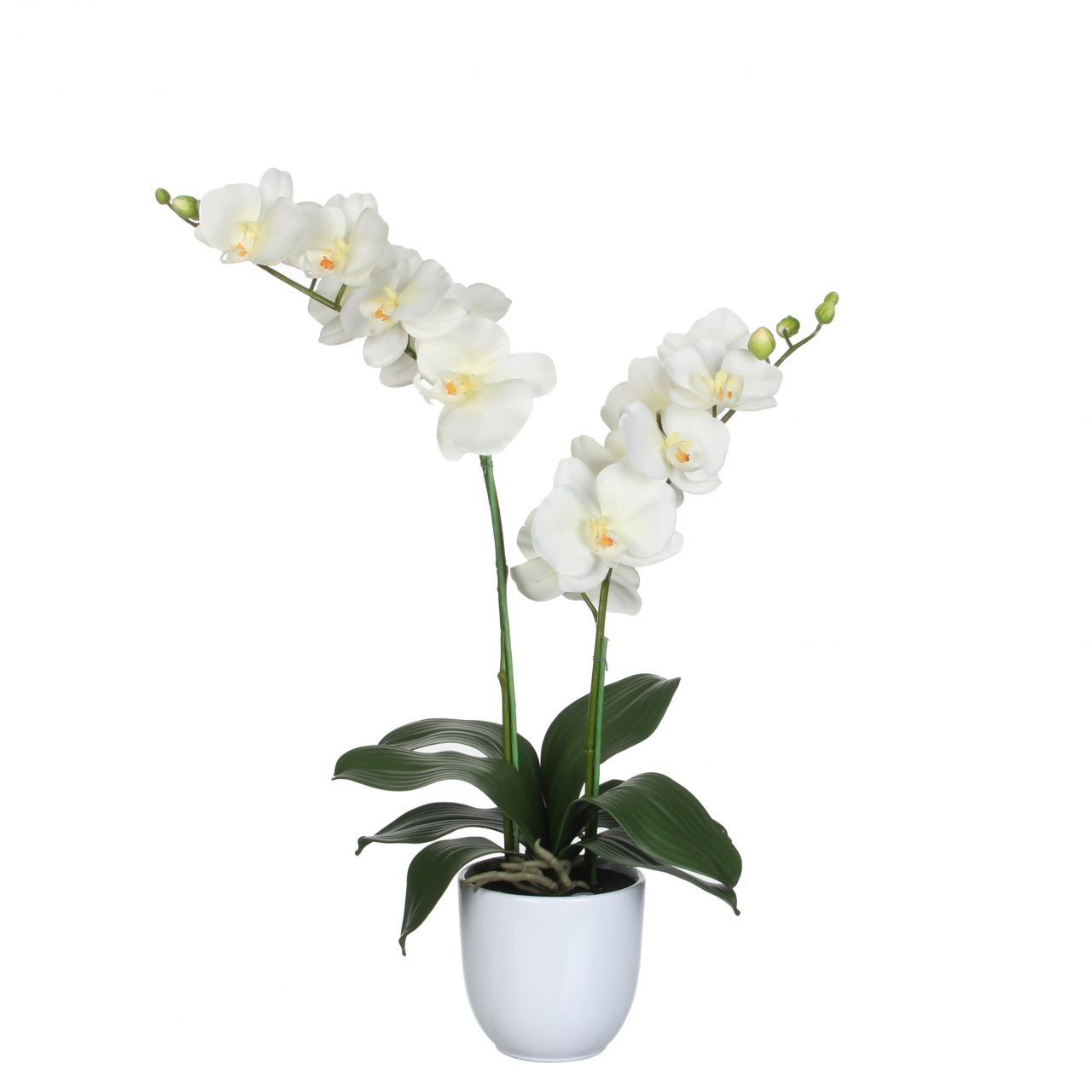 Kunstpflanze Mica Topf im Mica creme, x, Kunstpflanze 66 Phalaenopsis Decorations