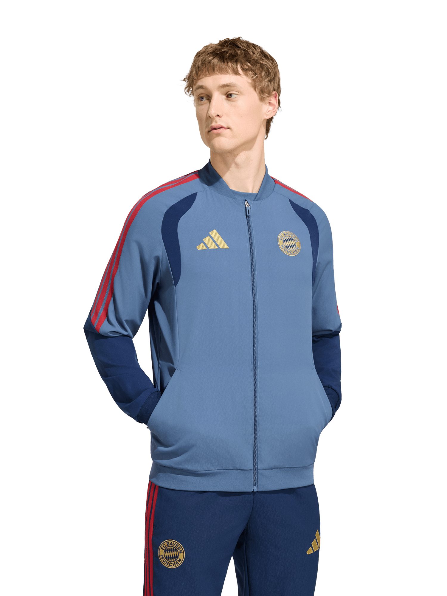 adidas Performance Trainingsjacke FC Bayern München, Präsentationsjacke Teamline, Herren, Blau