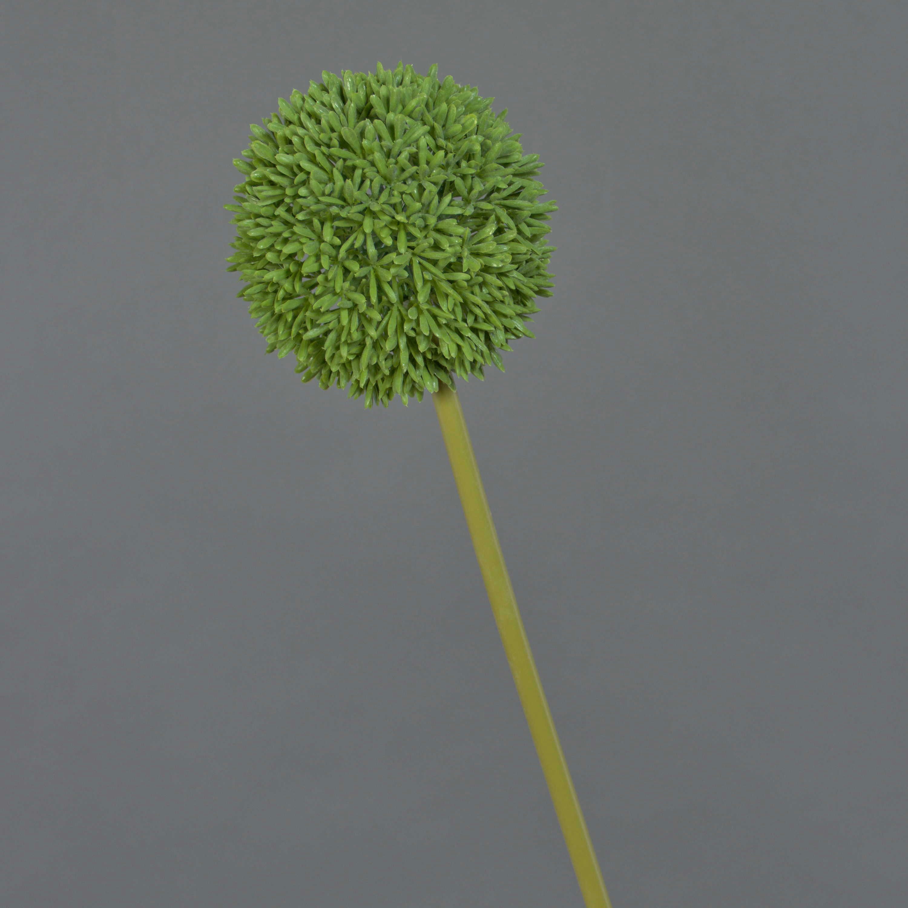Kunstblume Künstliche Blume Allium BAILIN, grün, 65 cm Allium, artplants, Höhe 65.0 cm