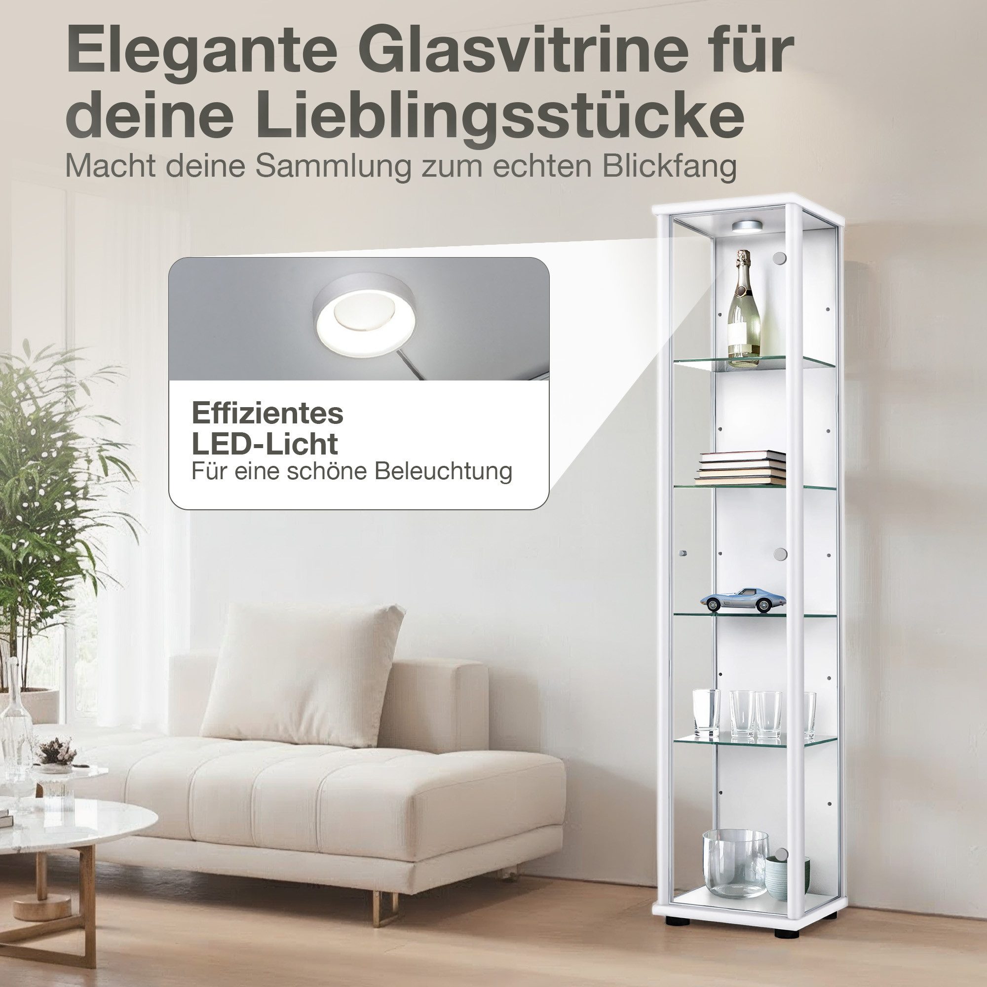 K-Möbel Glasvitrine C1014 (Glasvitrine (176x37x33 cm) mit 1 Glastür) Glasvitrine stehend – Bild 5 von 5