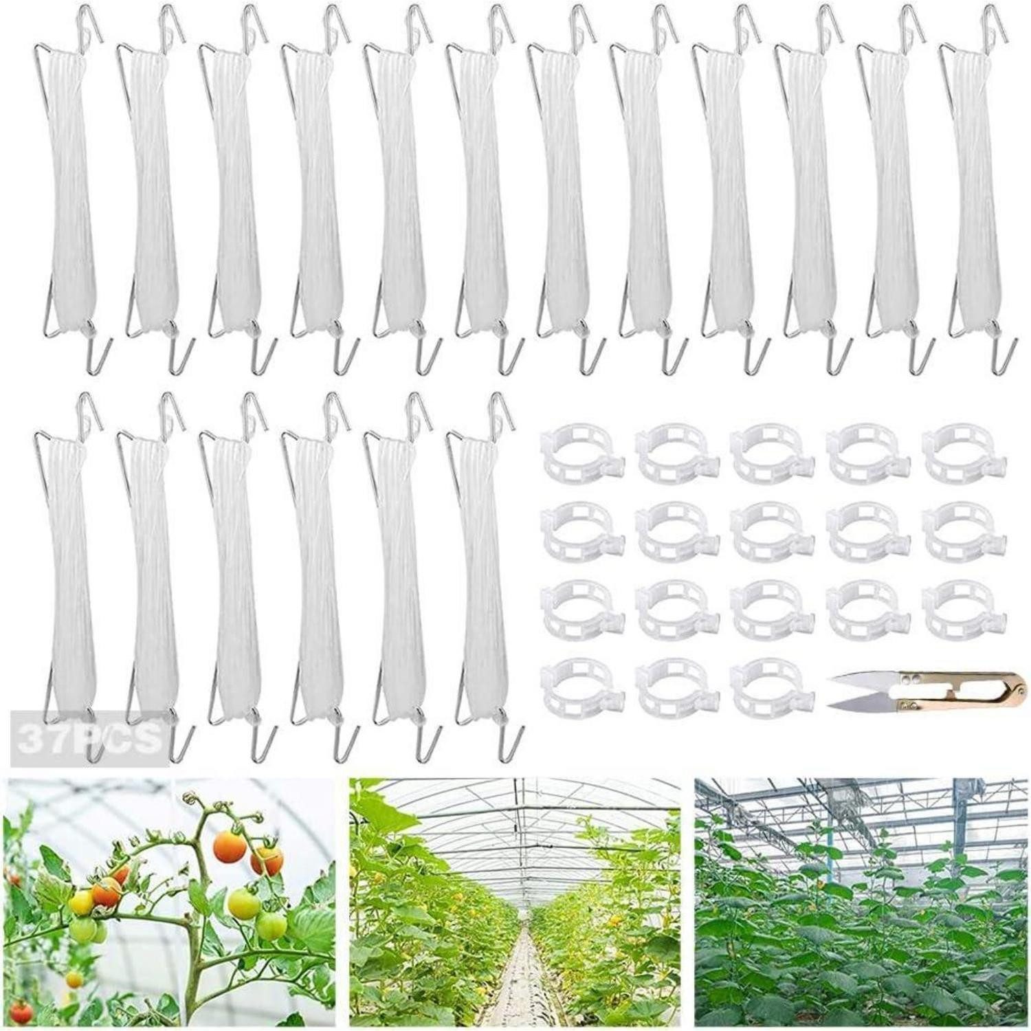 LuxusKollektion Rankhilfe Tomatenhaken Metall mit Pflanzenschnalle und Seil, 18er Set