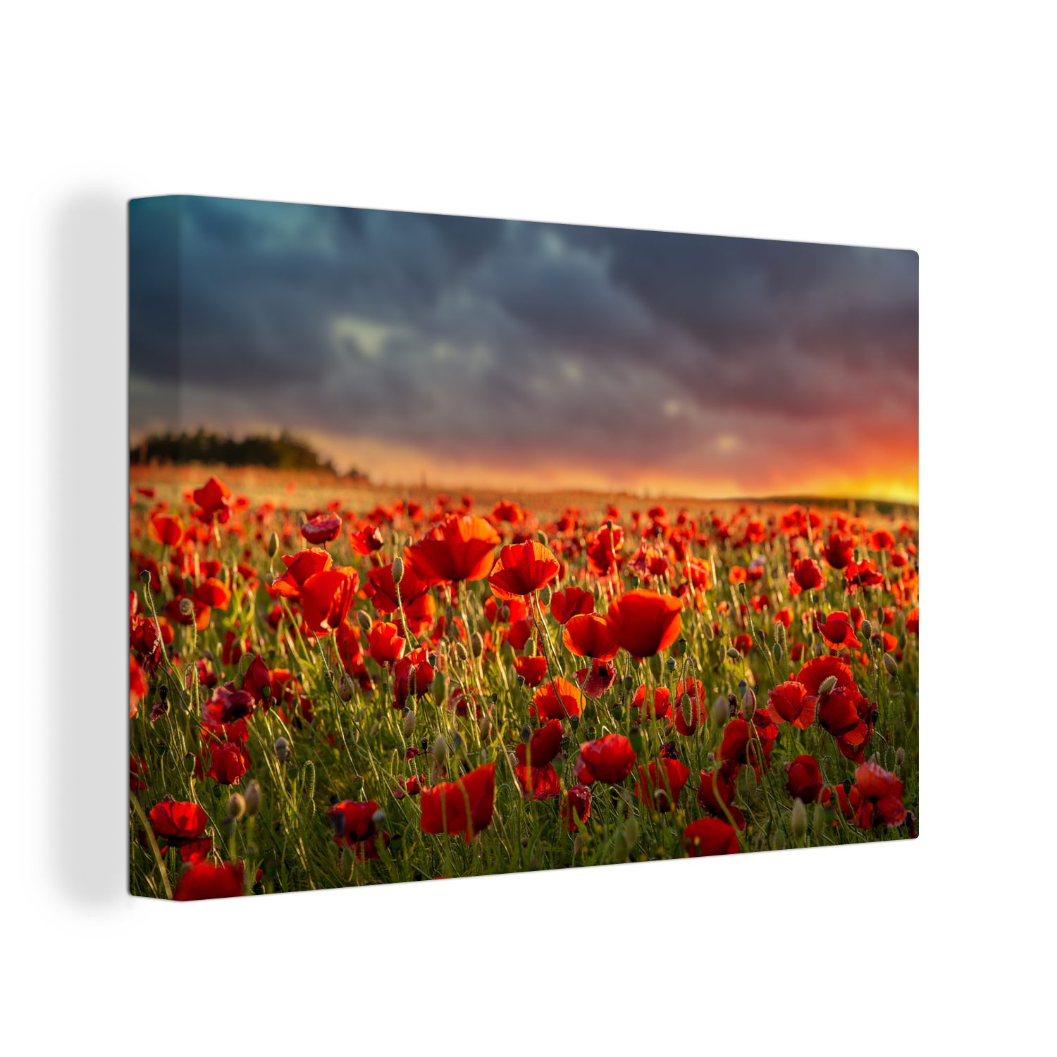 OneMillionCanvasses® Leinwandbild Mohnblumen - Wolken cm (1 30x20 - Leinwandbilder, St), Wandbild Aufhängefertig, Wanddeko, Sonne