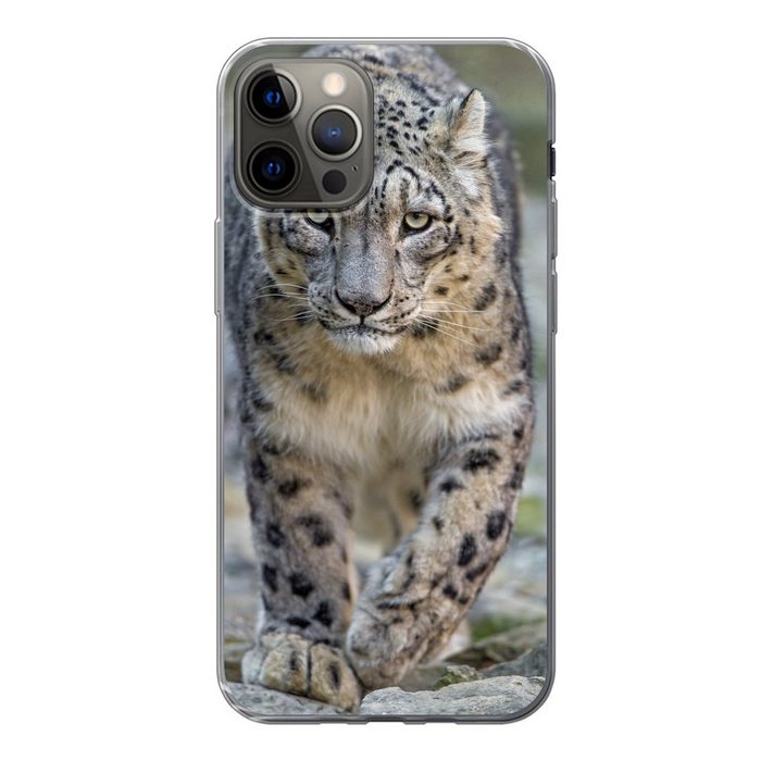 MuchoWow Handyhülle Leopard - Steine - Spaziergang Handyhülle Apple iPhone 12 Pro Smartphone-Bumper Print Handy