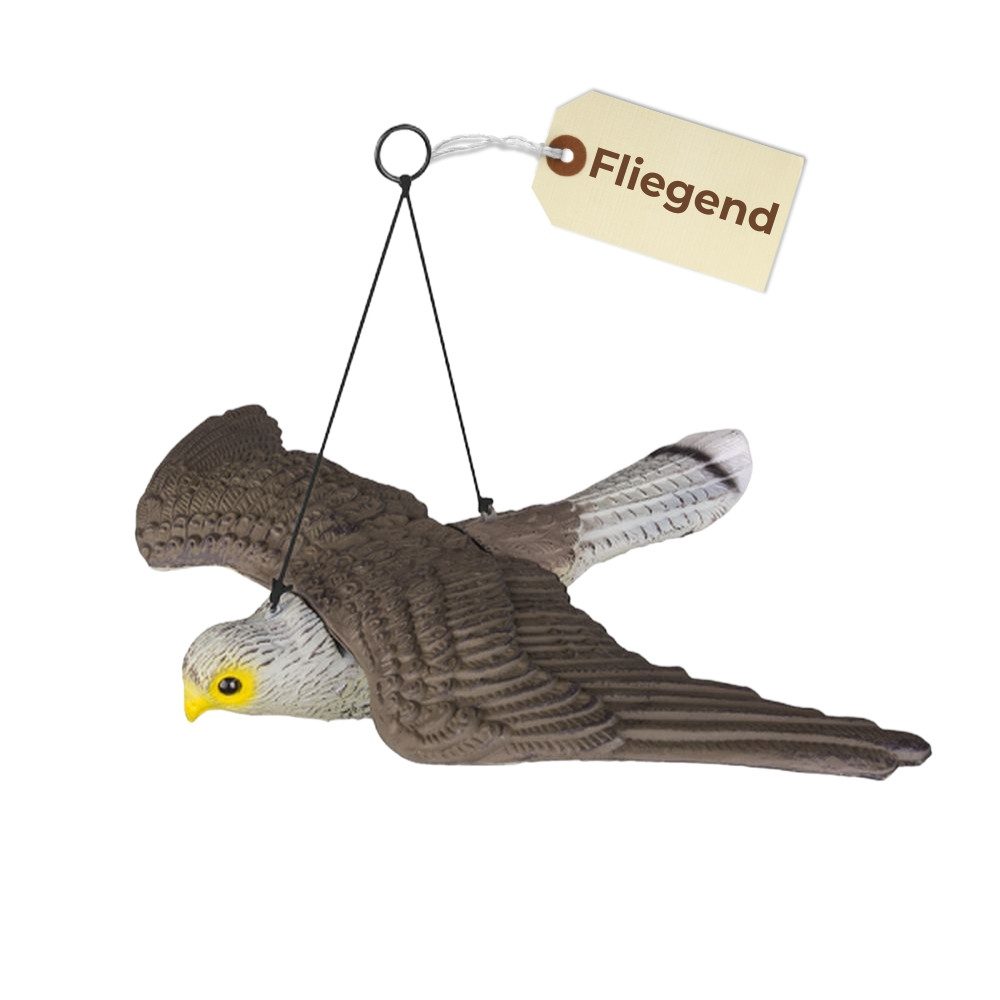 GarPet Vogel-Schreck Taubenabwehr Vogelabwehr Falken Attrappe fliegend Taubenschreck Balkon