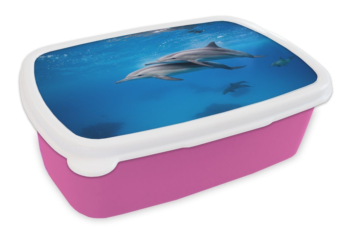 MuchoWow Lunchbox Delfin - Meer - Ägypten, Kunststoff, (2-tlg), Brotbox für Erwachsene, Brotdose Kinder, Snackbox, Mädchen, Kunststoff rosa