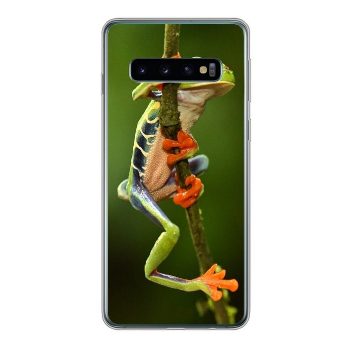 MuchoWow Handyhülle Frosch - Regenwald - Zweig Phone Case Handyhülle Samsung Galaxy S10 Silikon Schutzhülle