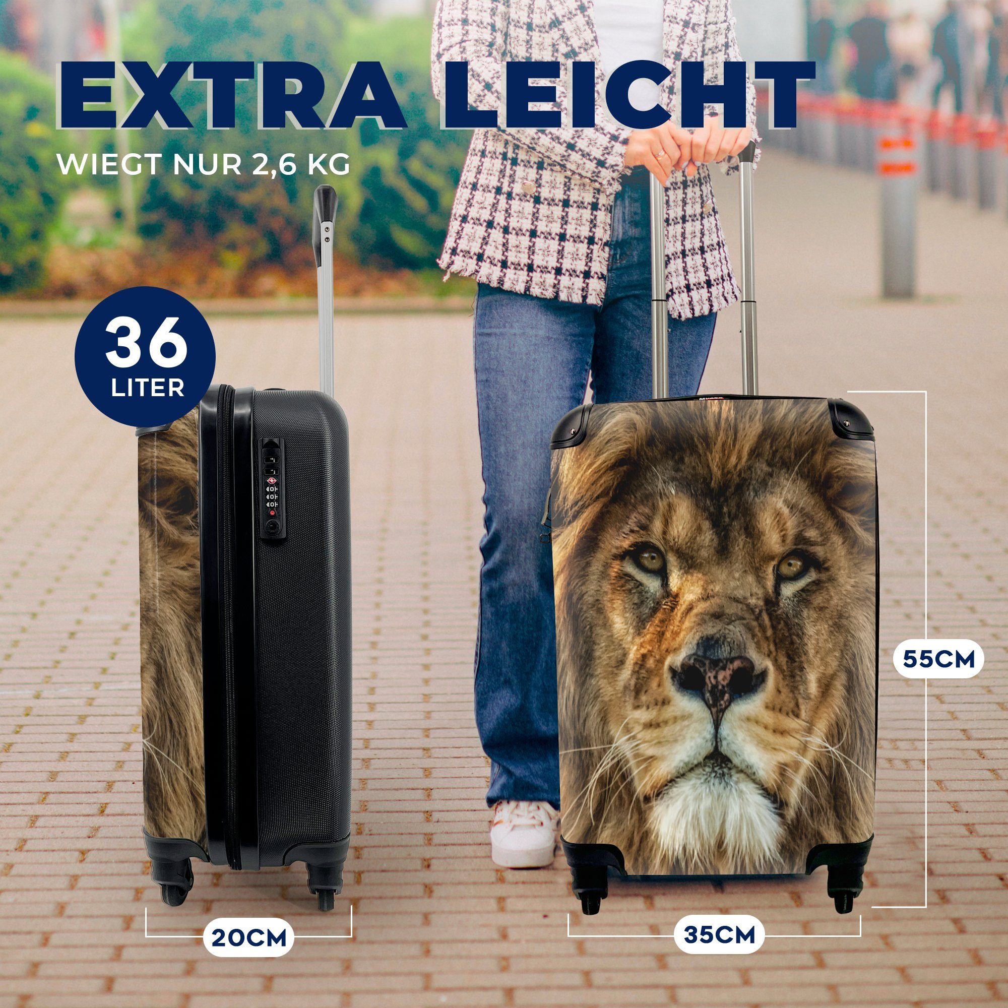 Handgepäck Löwe - - Tiere, Ferien, Porträt Handgepäckkoffer mit Rollen, für 4 Reisetasche MuchoWow Reisekoffer rollen, Trolley,