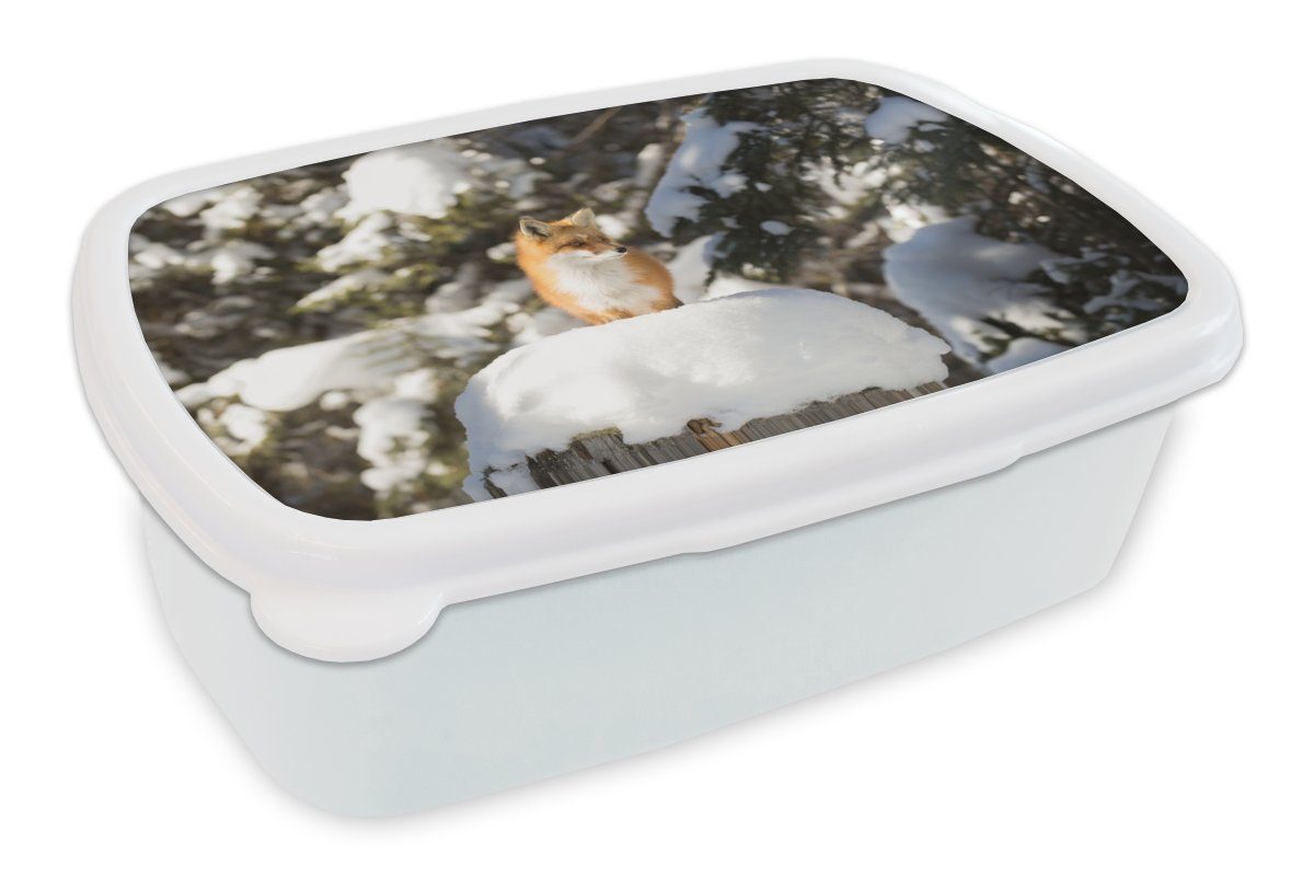 MuchoWow Lunchbox (2-tlg), Schnee für Baum, Mädchen und Kinder Brotdose, Kunststoff, Fuchs für Jungs - Brotbox und Erwachsene, weiß 