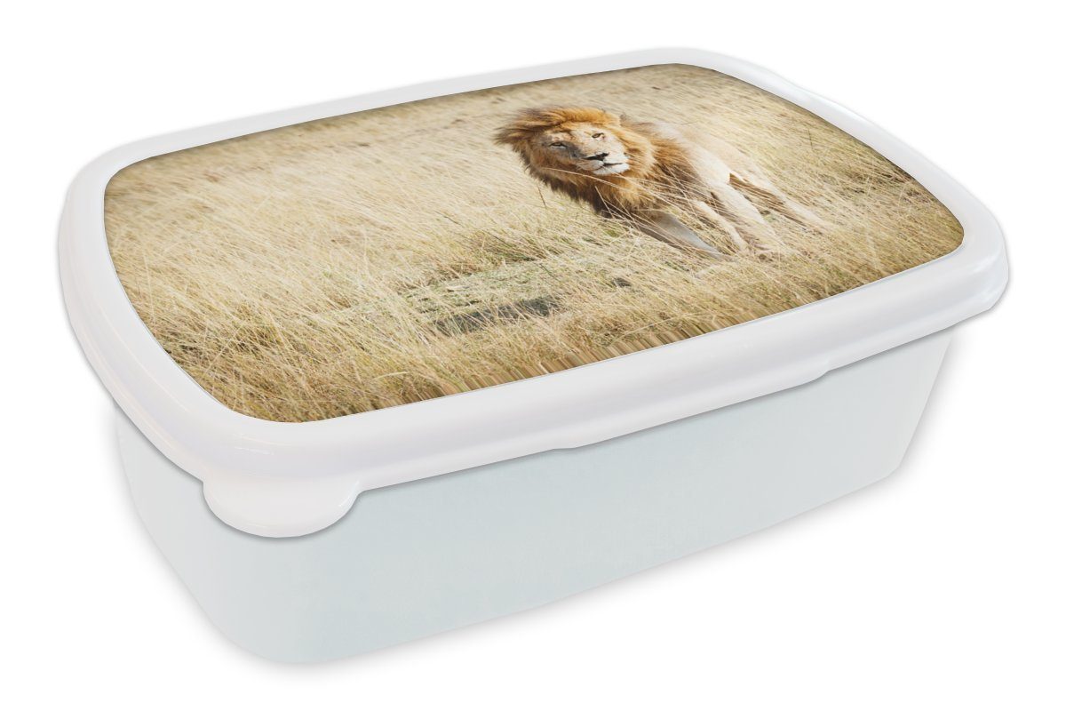 MuchoWow Lunchbox Löwen - Afrika - Gras, Kunststoff, (2-tlg), Brotbox für Kinder und Erwachsene, Brotdose, für Jungs und Mädchen weiß | Lunchboxen