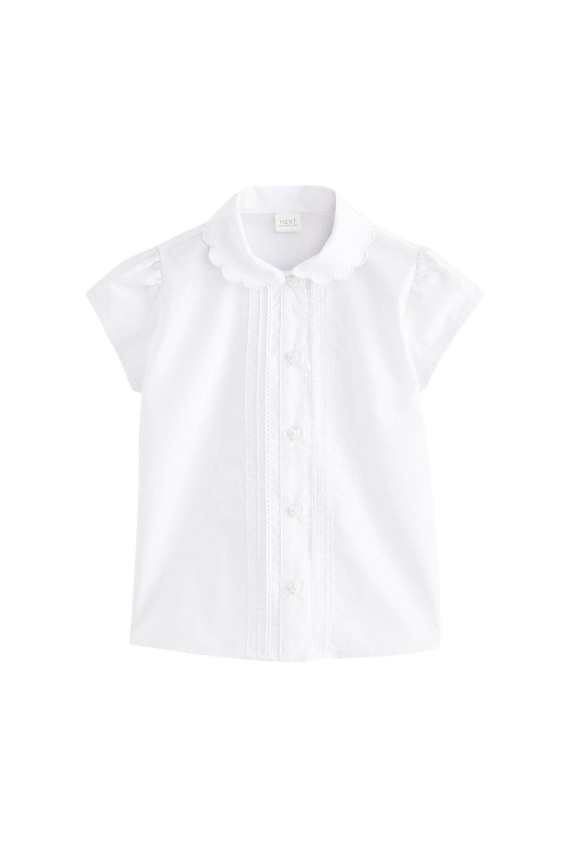 Next Kurzarmbluse Bluse mit Bogenkantenkragen (1-tlg)