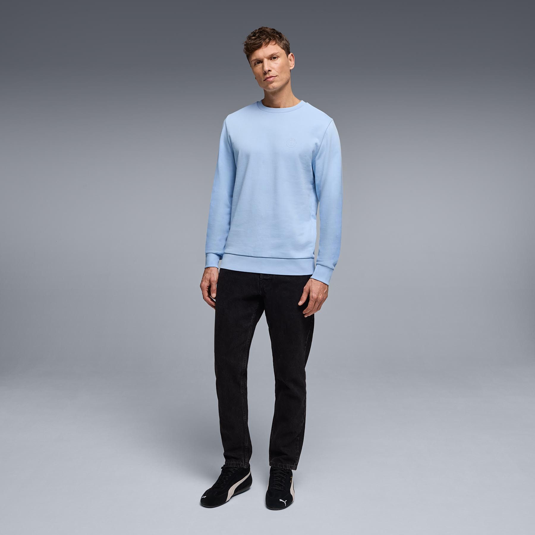 BMW Rundhalspullover BMW Pullover ARC Unisex hellblau