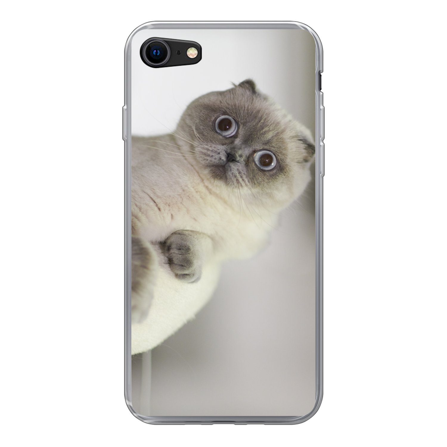 Handyhülle für Apple iPhone SE 2020 Katze - Tier - Wohnzimmer