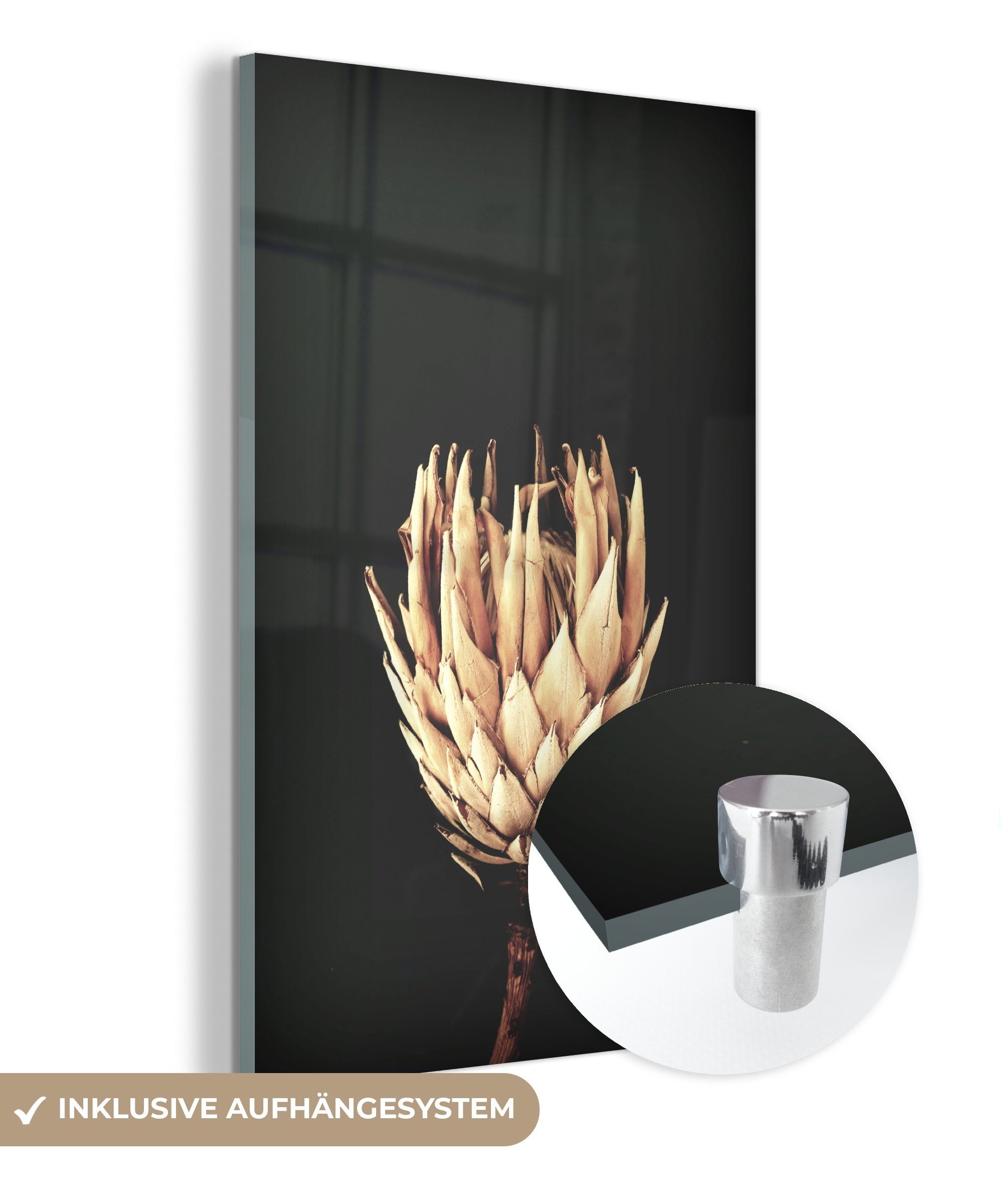 MuchoWow Acrylglasbild Blume - Exotisch - Stilleben, (1 St), Glasbilder - Bilder auf Glas Wandbild - Foto auf Glas - Wanddekoration
